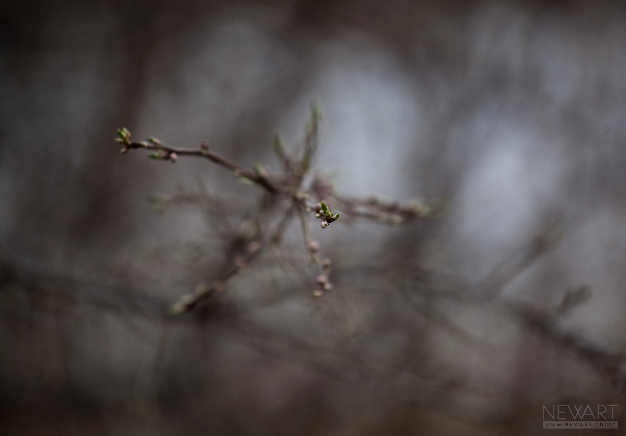 Canon EF 70-200mm F4L USM sample photo. 1299 photography