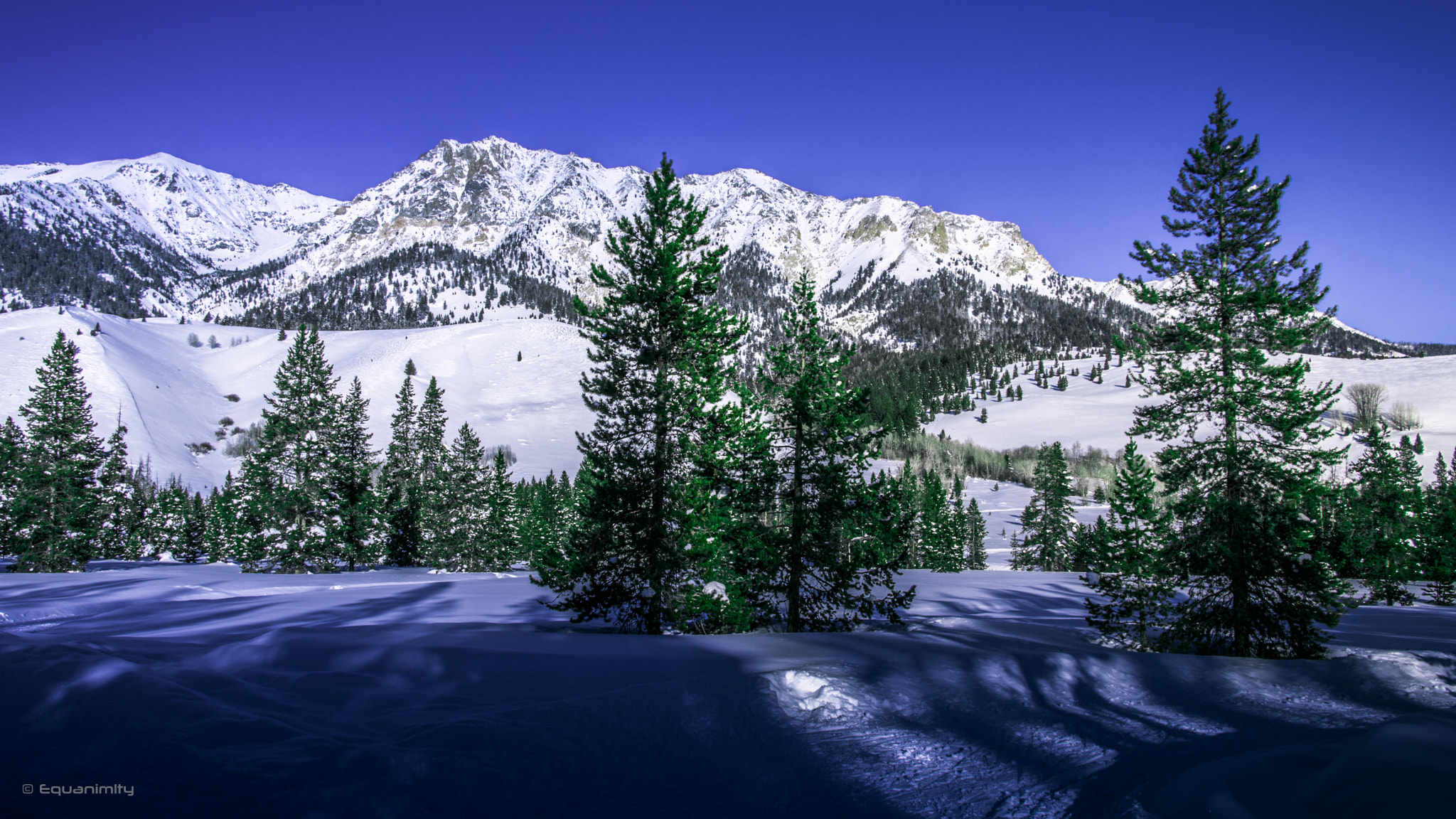 Canon EOS 750D (EOS Rebel T6i / EOS Kiss X8i) sample photo. Sawtooth national forest - wintered photography
