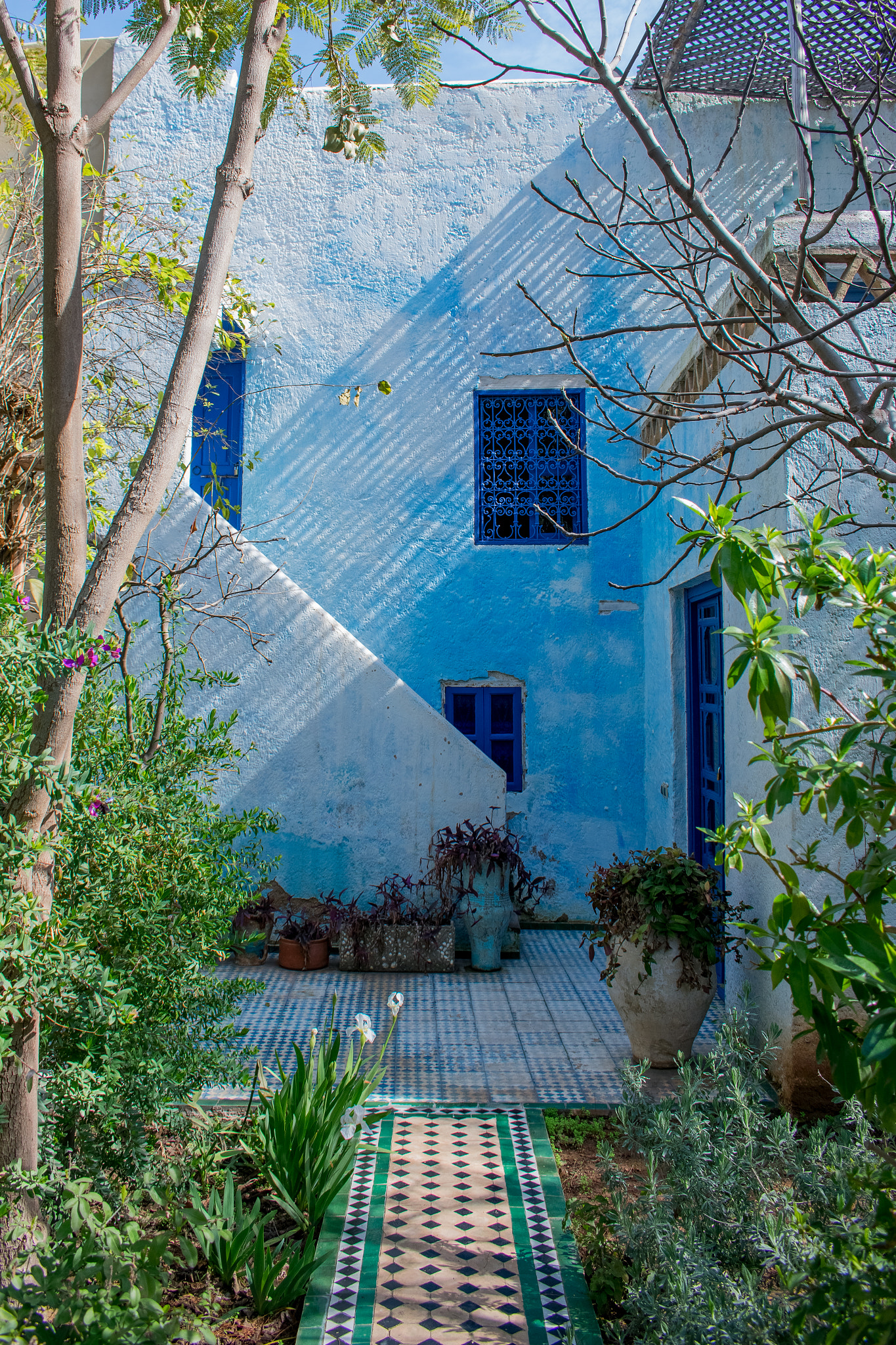 Nikon D3400 sample photo. Blue and green photography