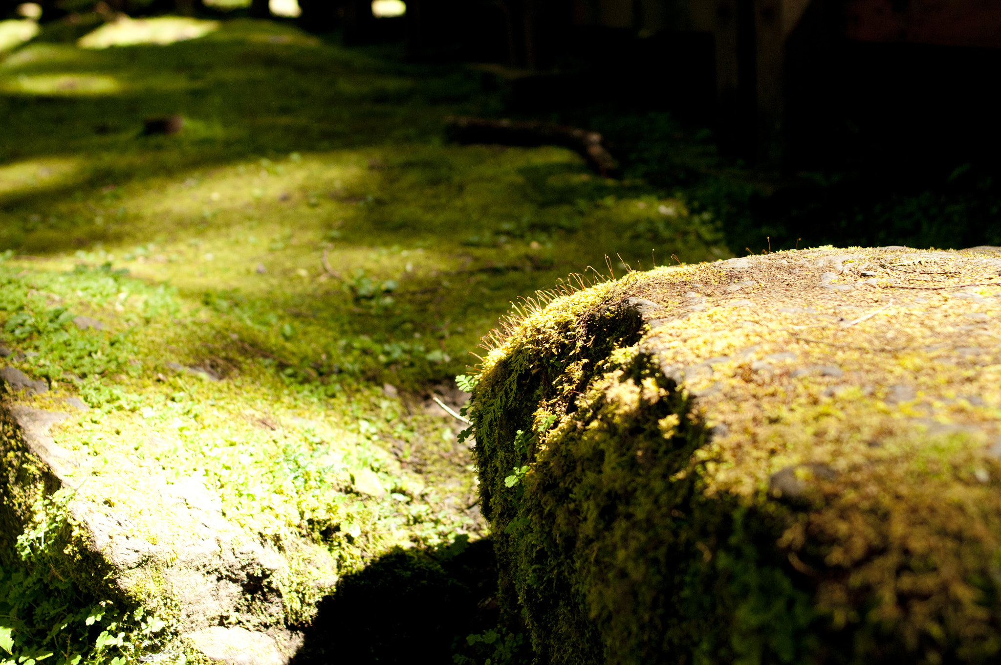 Nikon D300S + Nikon AF-S Nikkor 28mm F1.8G sample photo. Dsc photography