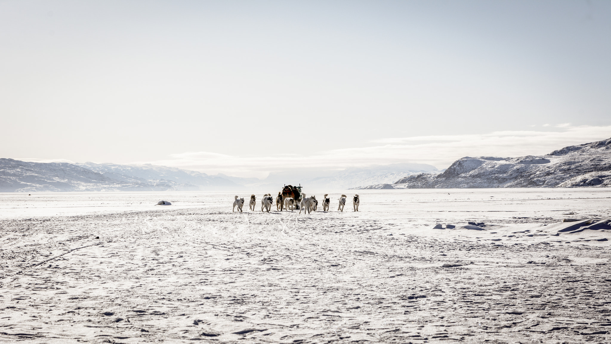 Nikon D7100 + Sigma 17-70mm F2.8-4 DC Macro OS HSM sample photo. Dogsled on  the frozen fjord photography