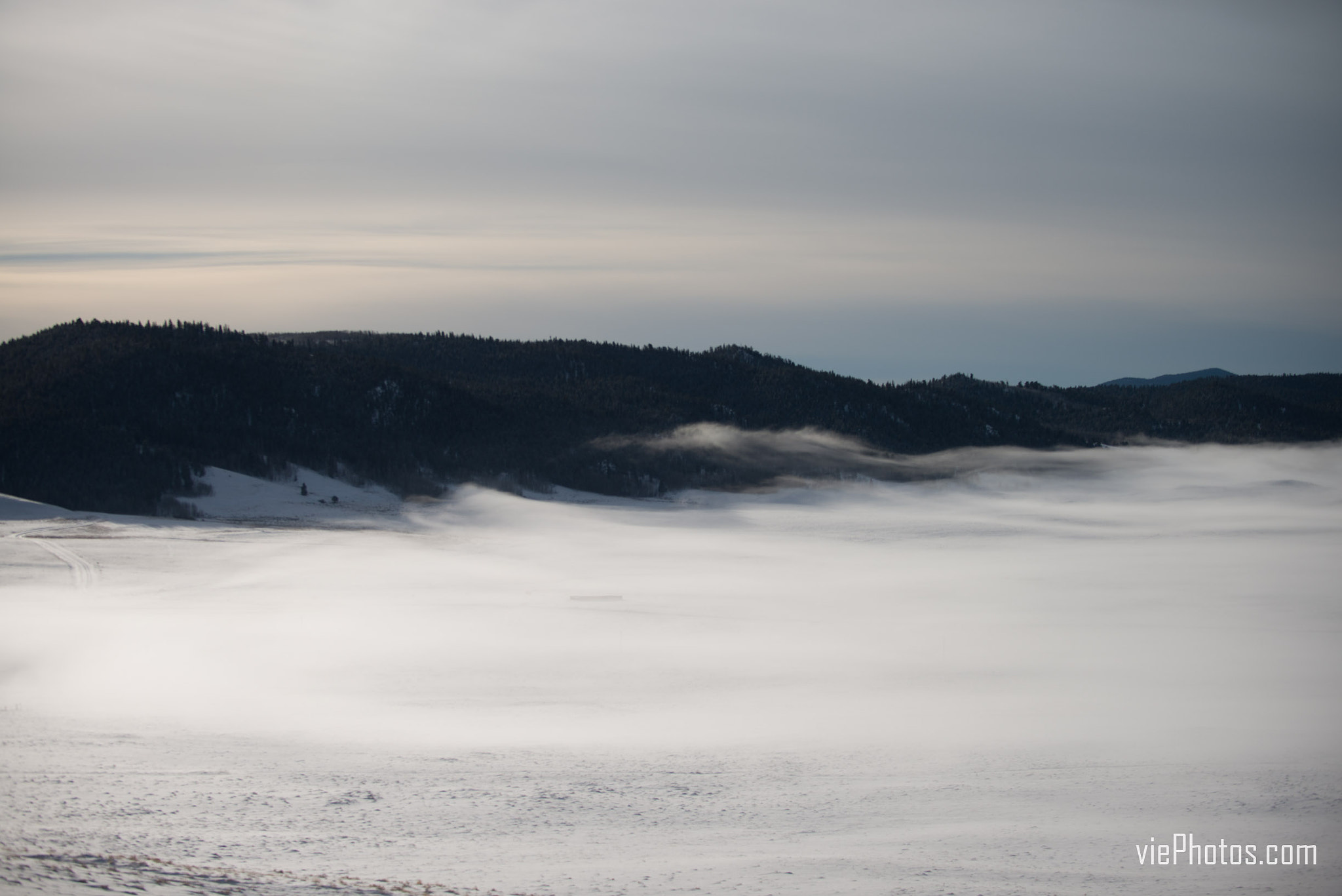 Nikon D800 sample photo. Colorado morning photography