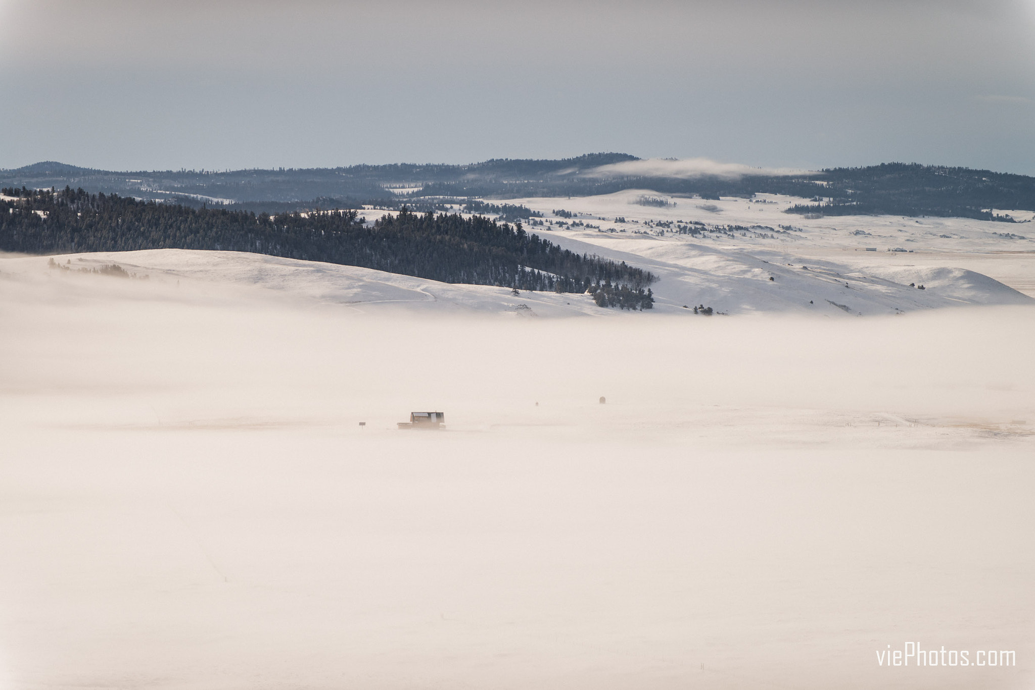 Nikon D800 sample photo. Colorado morning photography