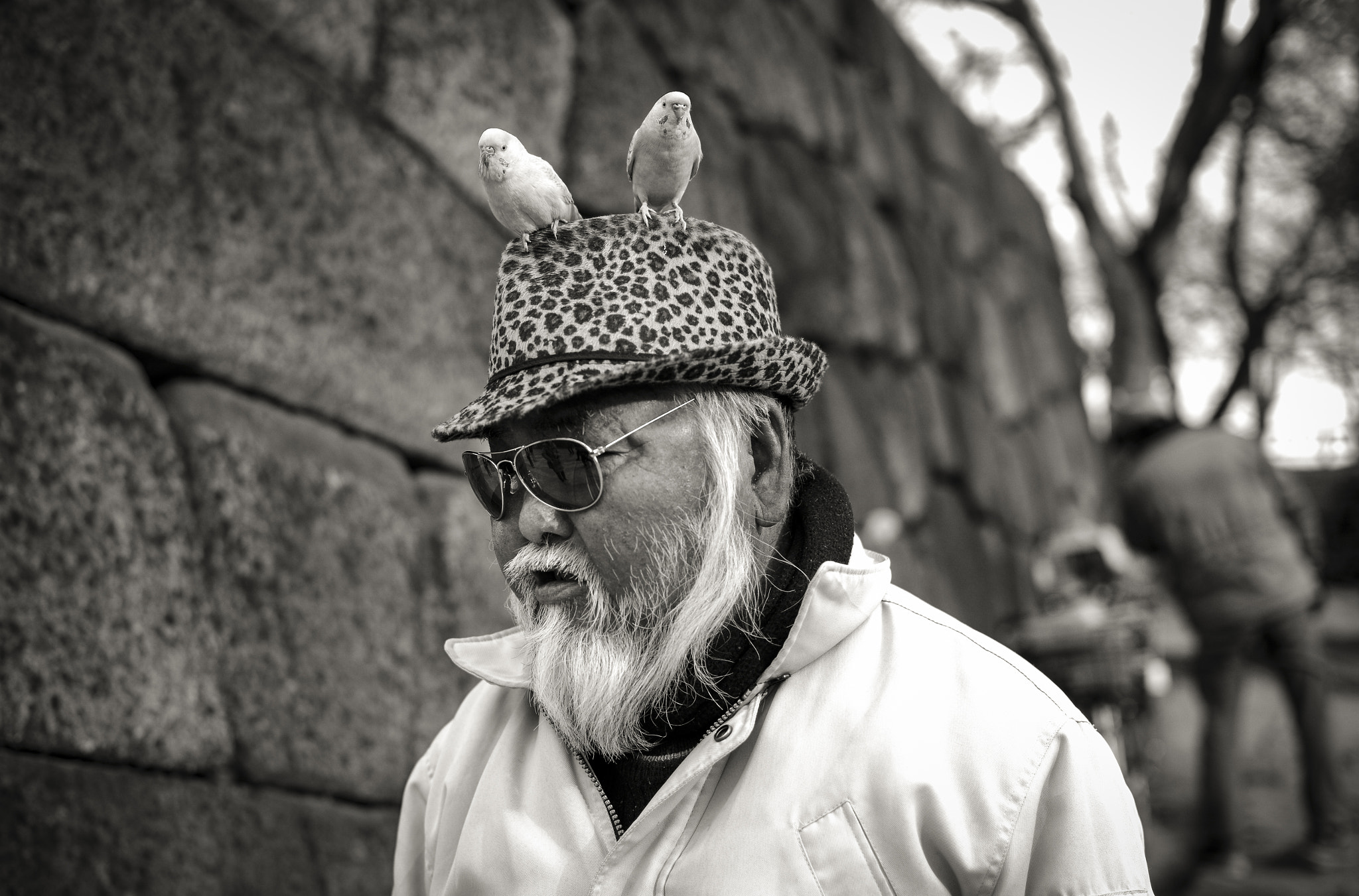 Leica Summilux-M 35mm F1.4 ASPH sample photo. Old man and birds photography