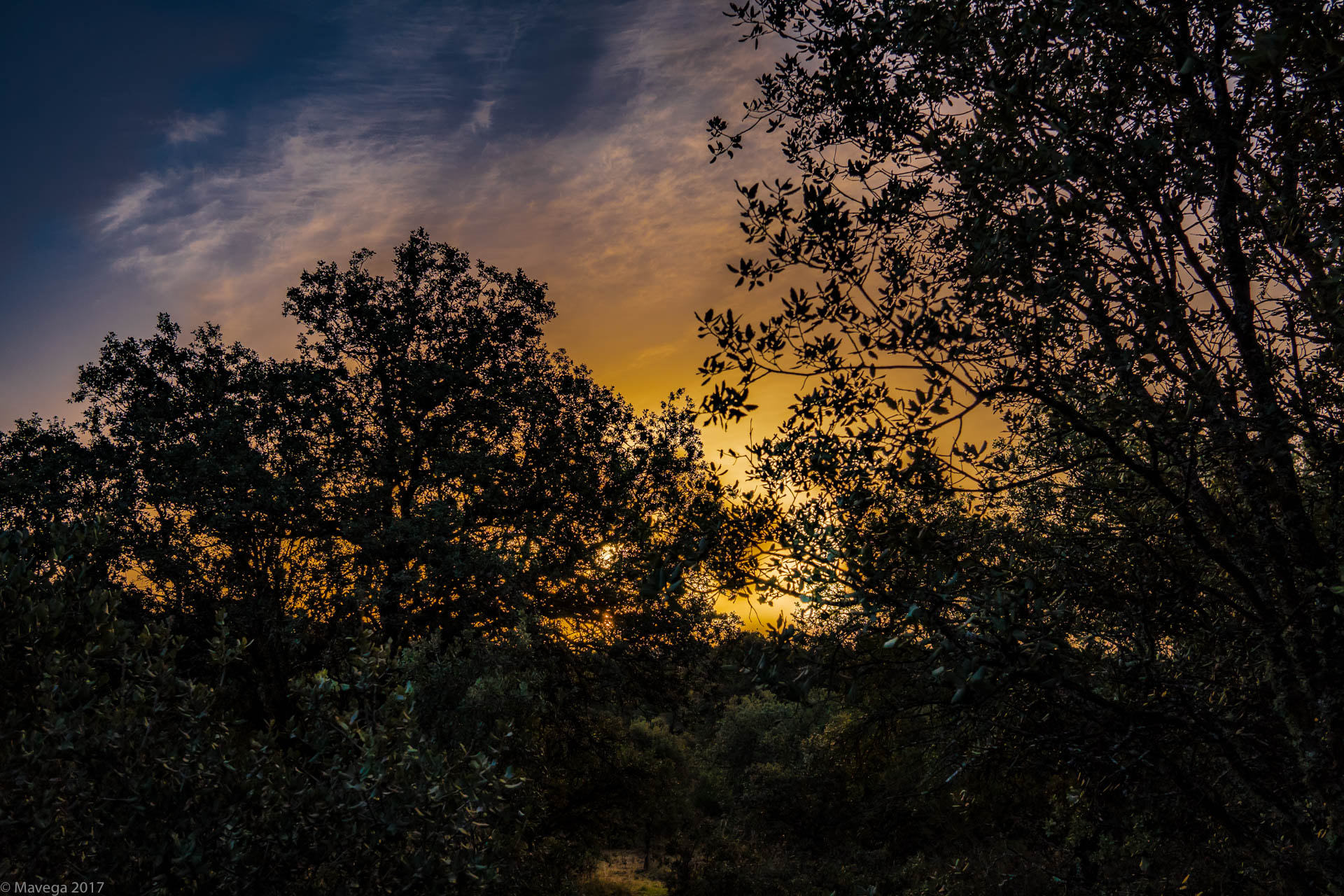 Sony a6300 + Sigma 19mm F2.8 EX DN sample photo. At dawn photography