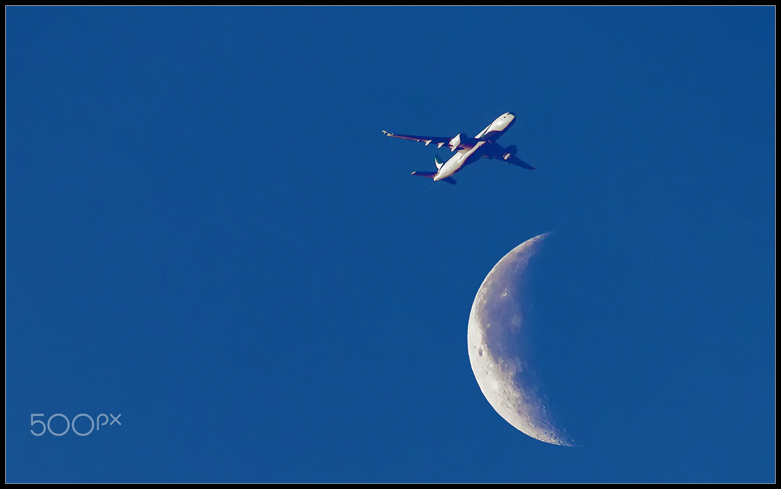 Canon EF 100-400mm F4.5-5.6L IS USM sample photo. Fly photography