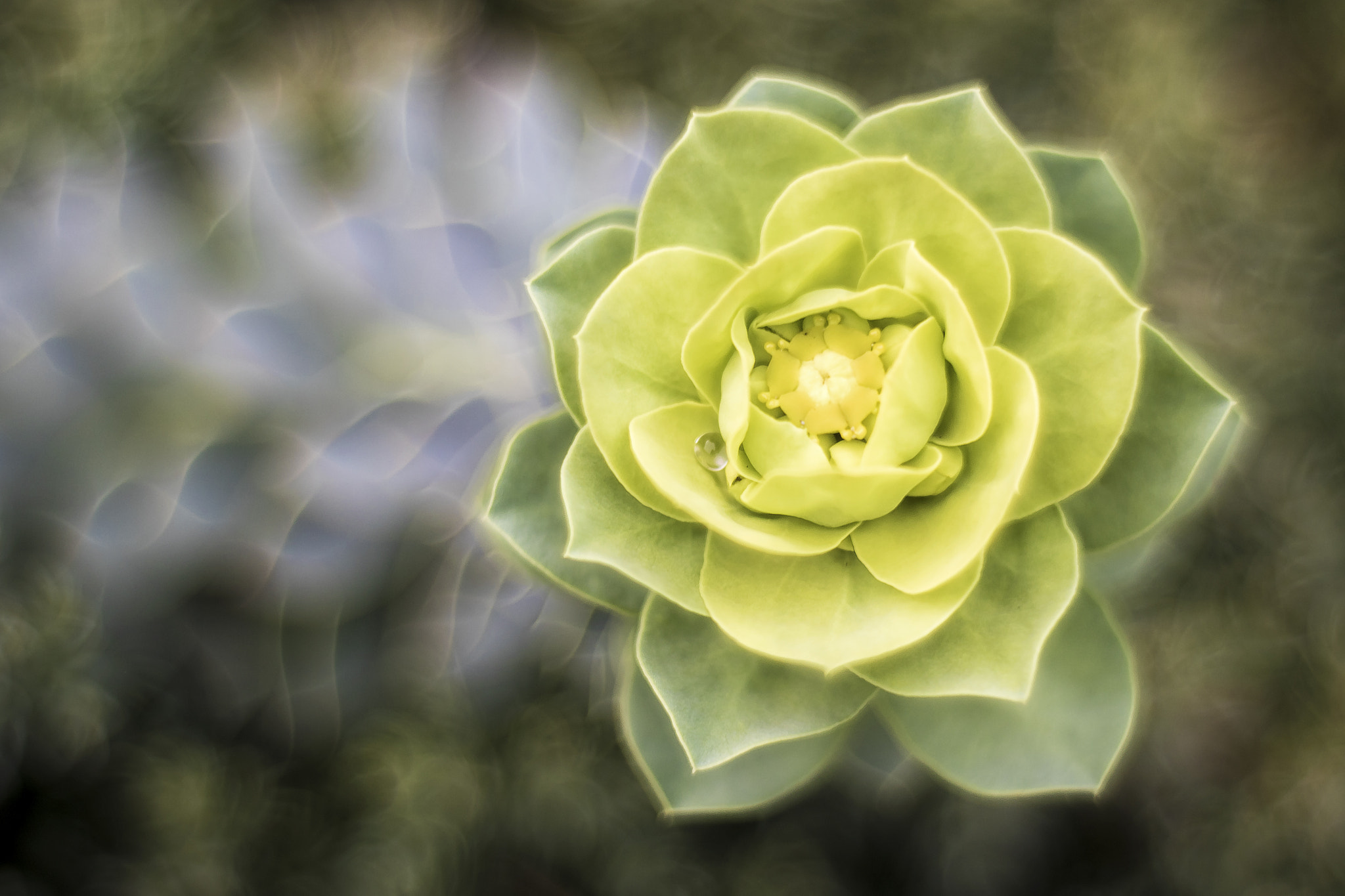 Canon EF 28-80mm f/3.5-5.6 sample photo. Like a worm  photography