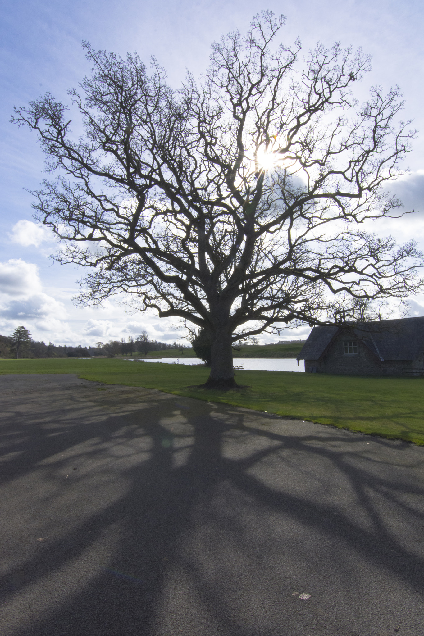 Nikon D7200 sample photo. Niv_6632-2.jpg photography