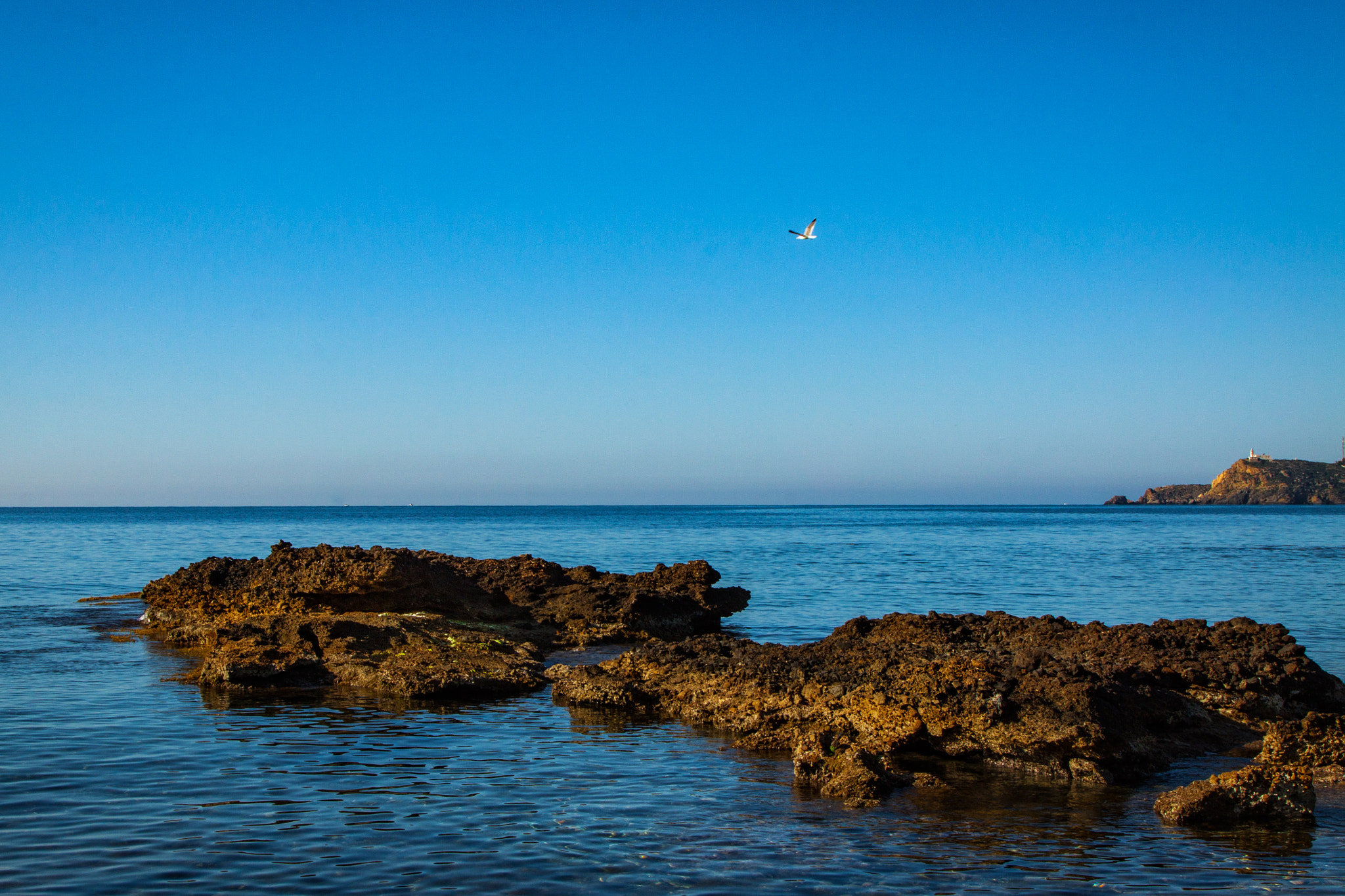 Canon EOS 50D + Canon EF 24-105mm F4L IS USM sample photo. En la playa photography