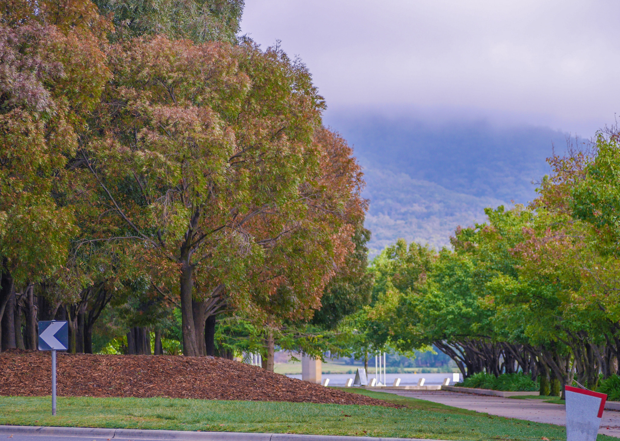 Panasonic DMC-GM1S sample photo. Trees are changing - canberra, australia photography