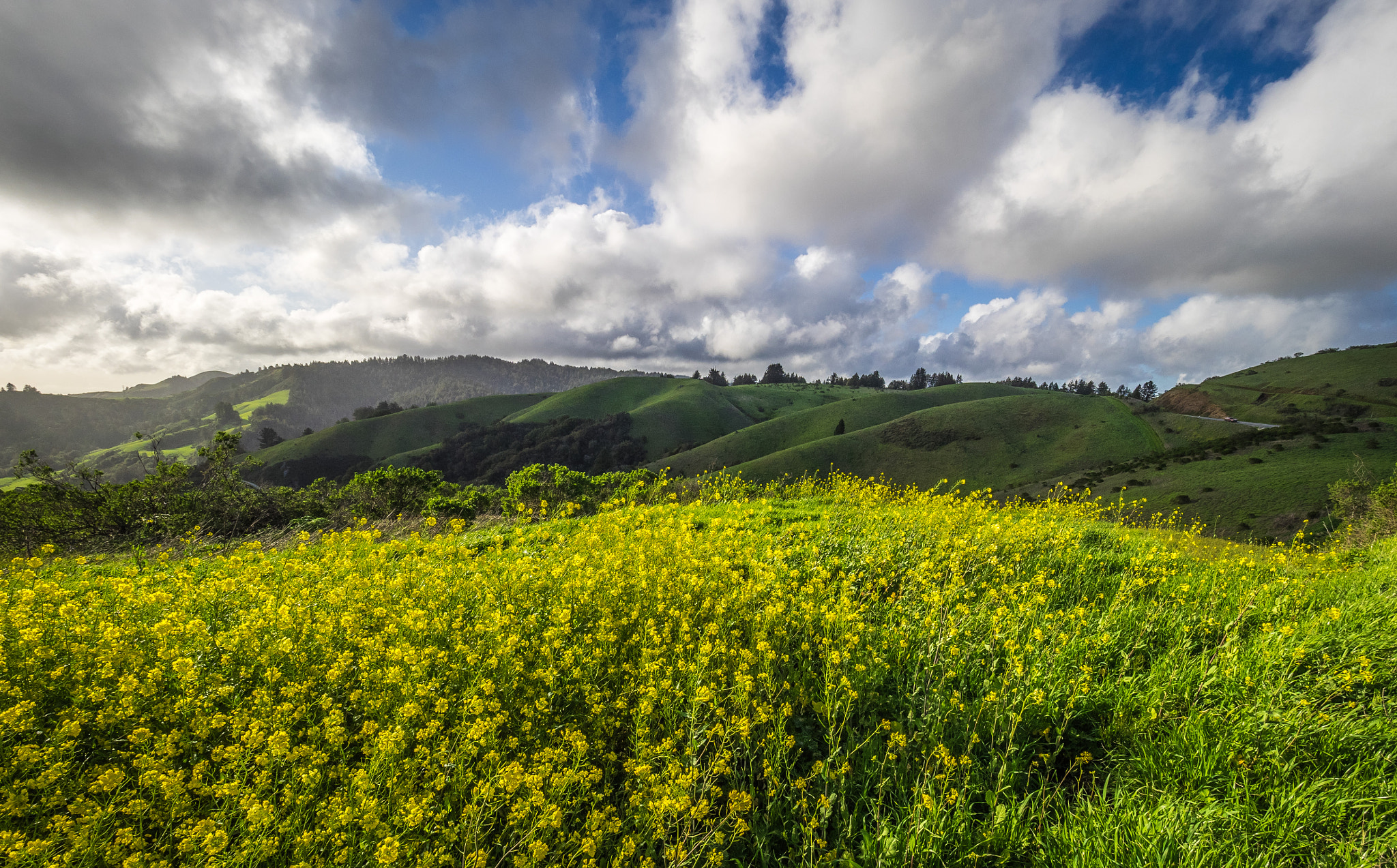 Olympus OM-D E-M1 + Olympus M.Zuiko Digital ED 7-14mm F2.8 PRO sample photo. #370 photography