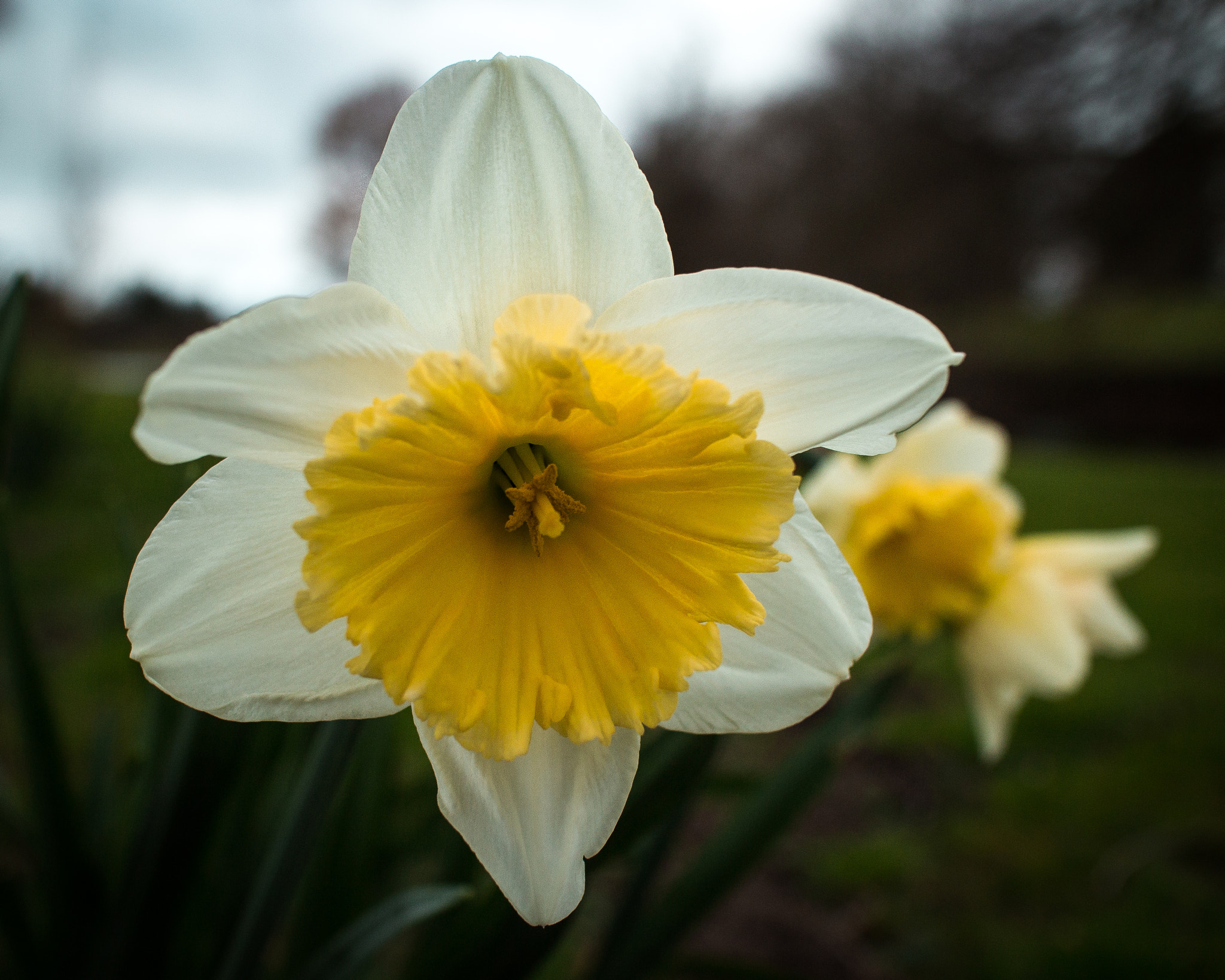 Canon EOS M + Canon EF-M 22mm F2 STM sample photo. Hello spring, you are very welcome! photography