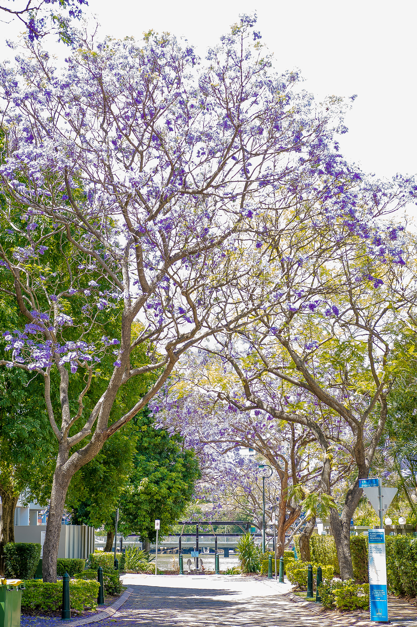 Nikon AF-S Nikkor 24-70mm F2.8E ED VR sample photo