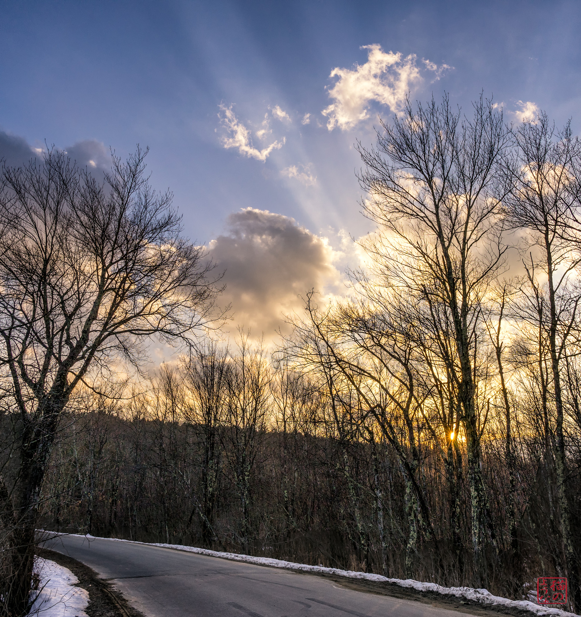 Sony a7 + Sony Sonnar T* E 24mm F1.8 ZA sample photo. Spring fights for dominance photography