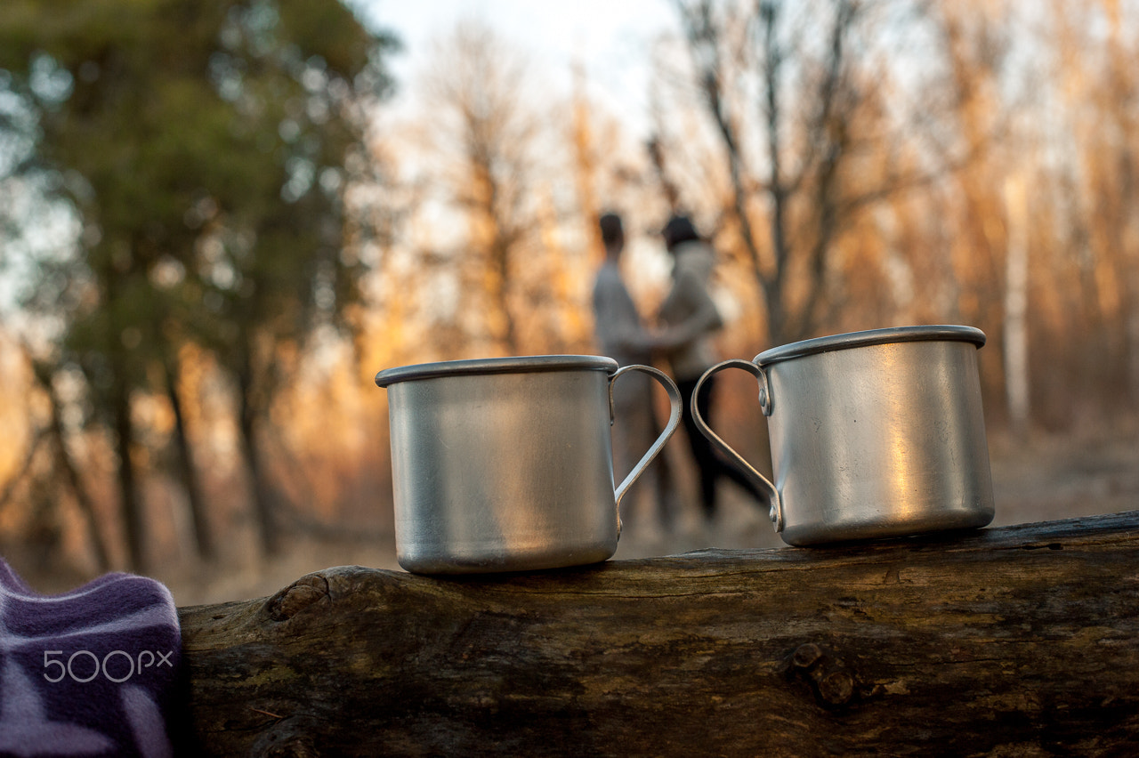 Nikon D700 + Nikon AF-S Nikkor 50mm F1.8G sample photo. Катя и Роман photography