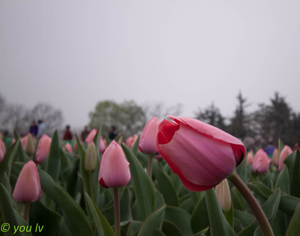 Canon EF-S 10-22mm F3.5-4.5 USM sample photo