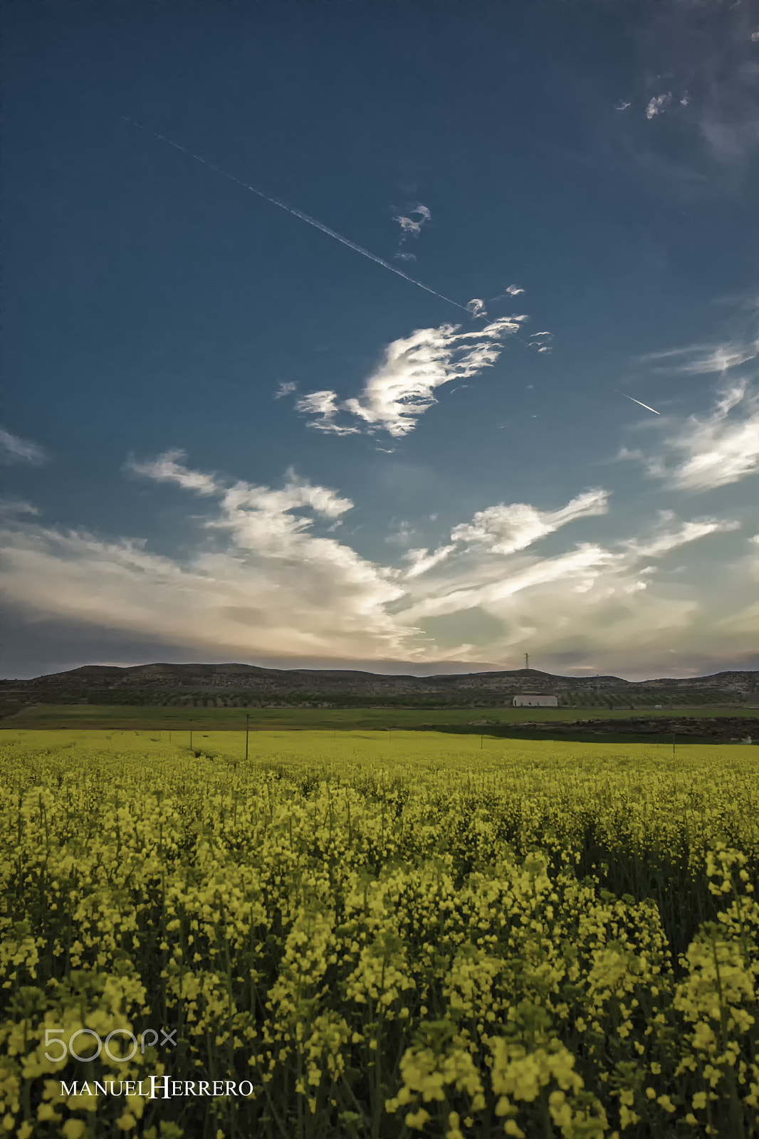 Canon EOS 550D (EOS Rebel T2i / EOS Kiss X4) + Sigma 10-20mm F4-5.6 EX DC HSM sample photo. Rapeseed fields photography