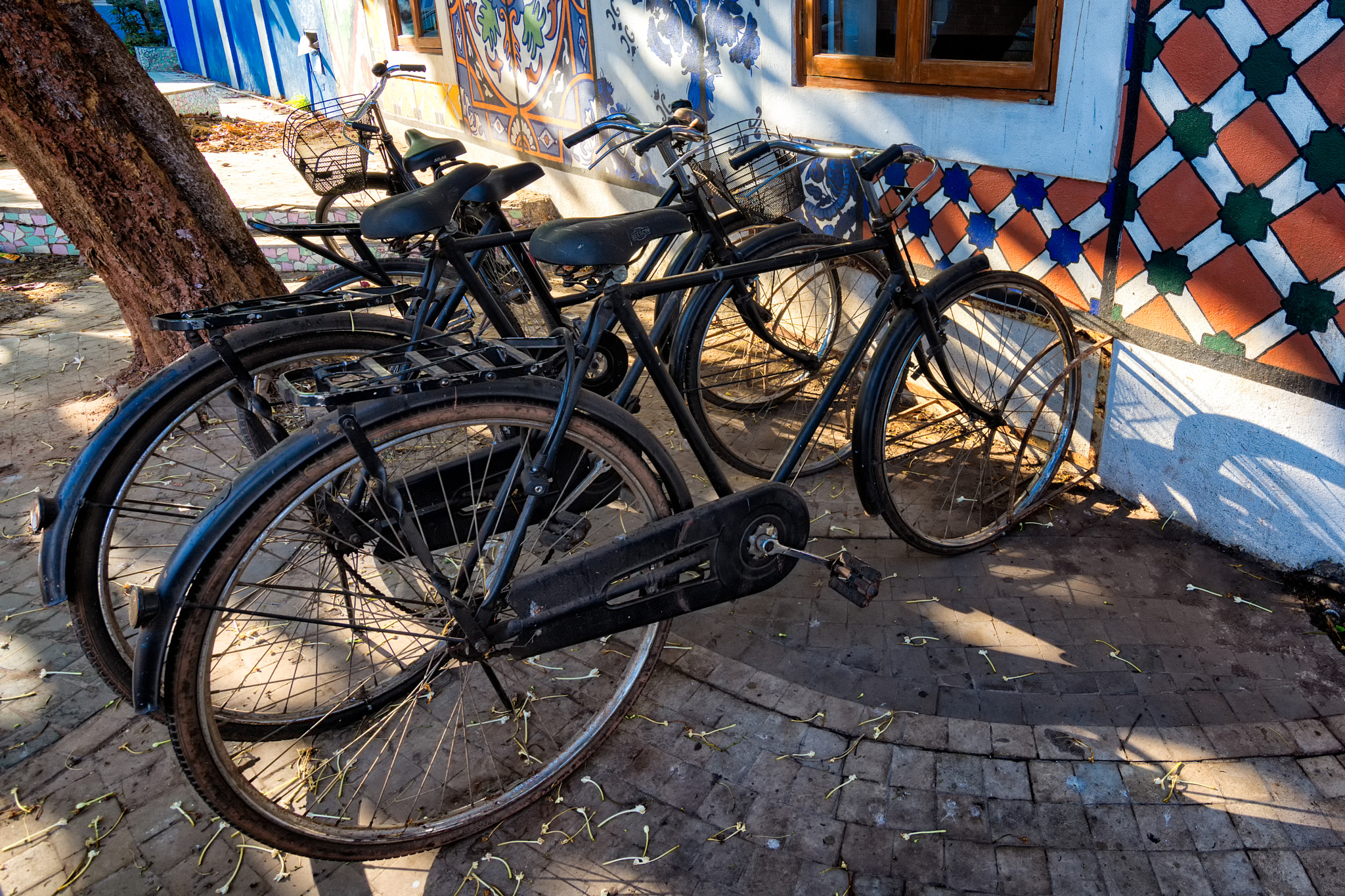 Nikon D7200 sample photo. Bicycles photography