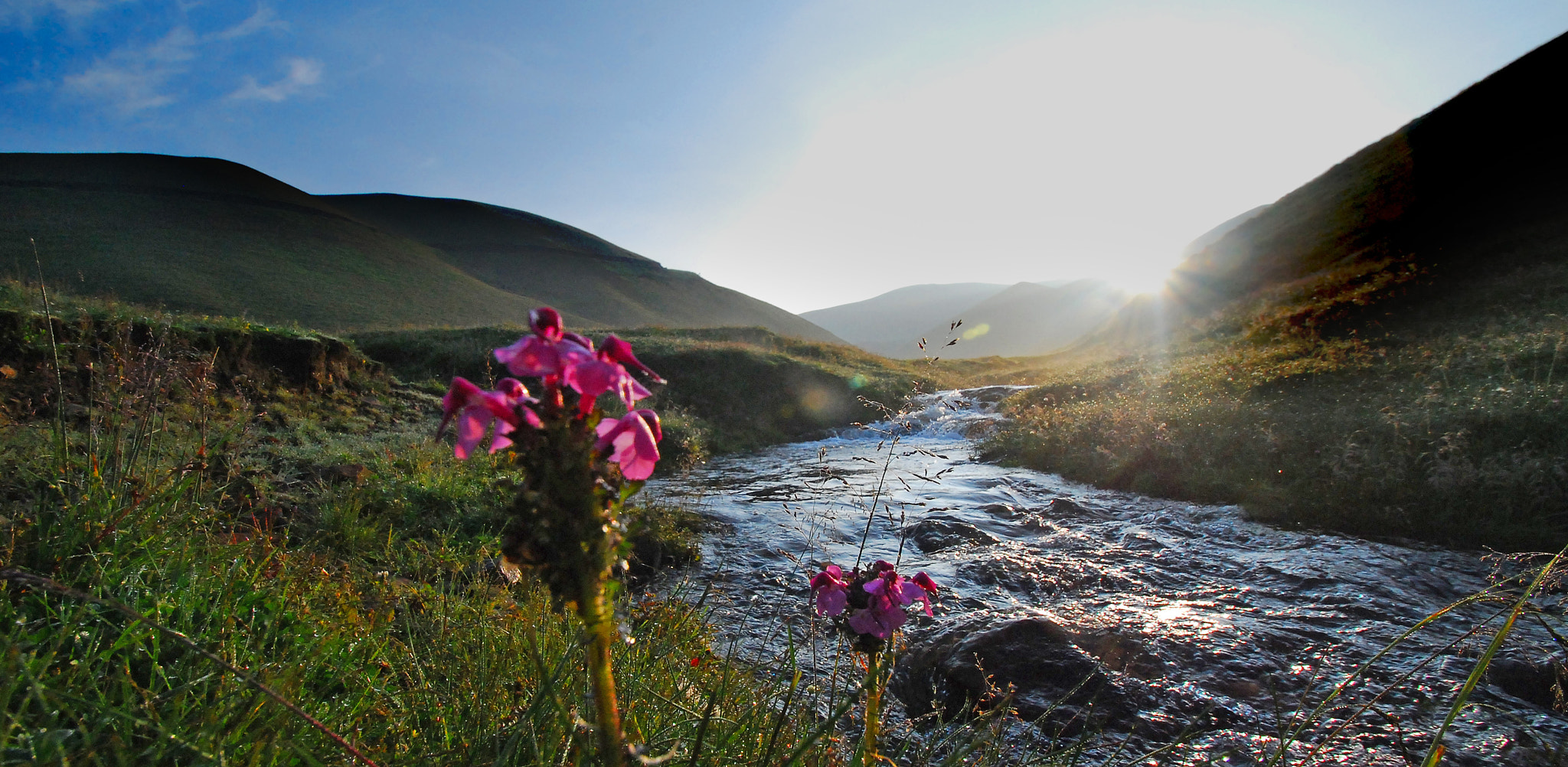 Nikon D80 sample photo. Liru dacaoshan in yunnan photography