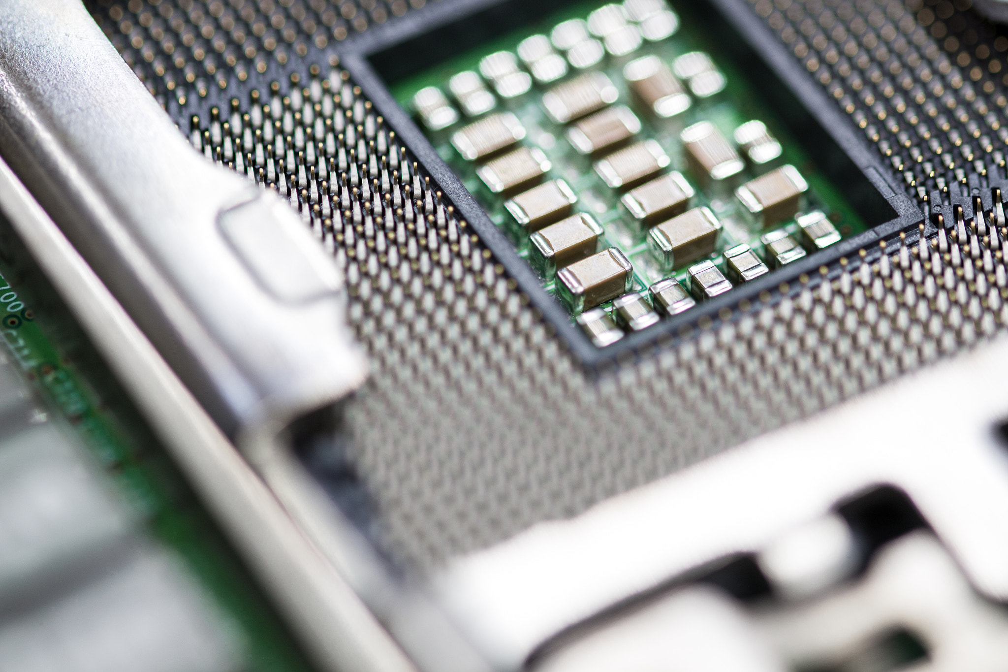 Sigma 105mm F2.8 EX DG OS HSM sample photo. Cpu hold photography