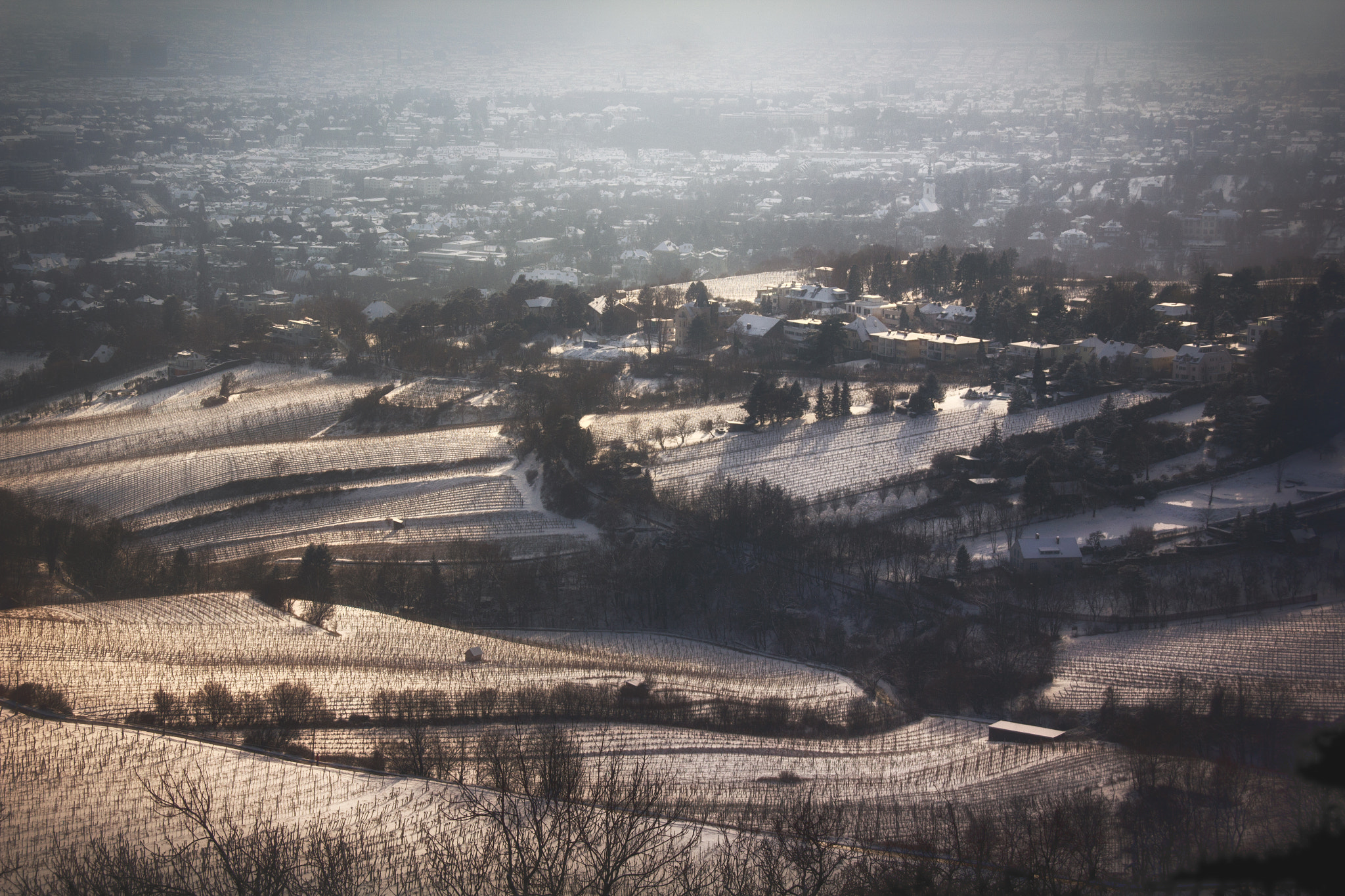 Canon EOS 550D (EOS Rebel T2i / EOS Kiss X4) + Sigma 18-200mm f/3.5-6.3 DC OS sample photo. Vienna vineyards | snow & shadows photography