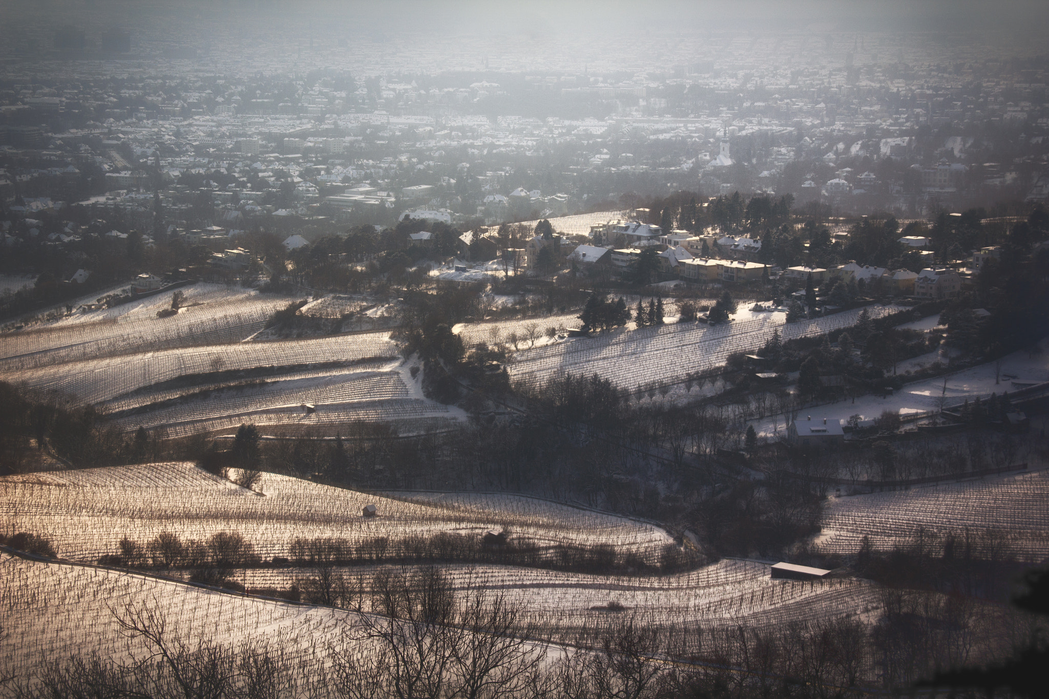 Sigma 18-200mm f/3.5-6.3 DC OS sample photo. Vienna vineyards | snow & shadows photography