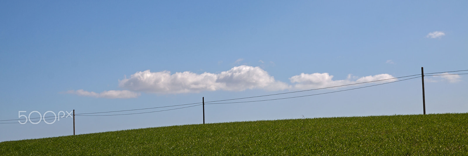 Canon EF-S 17-55mm F2.8 IS USM sample photo. Linea photography