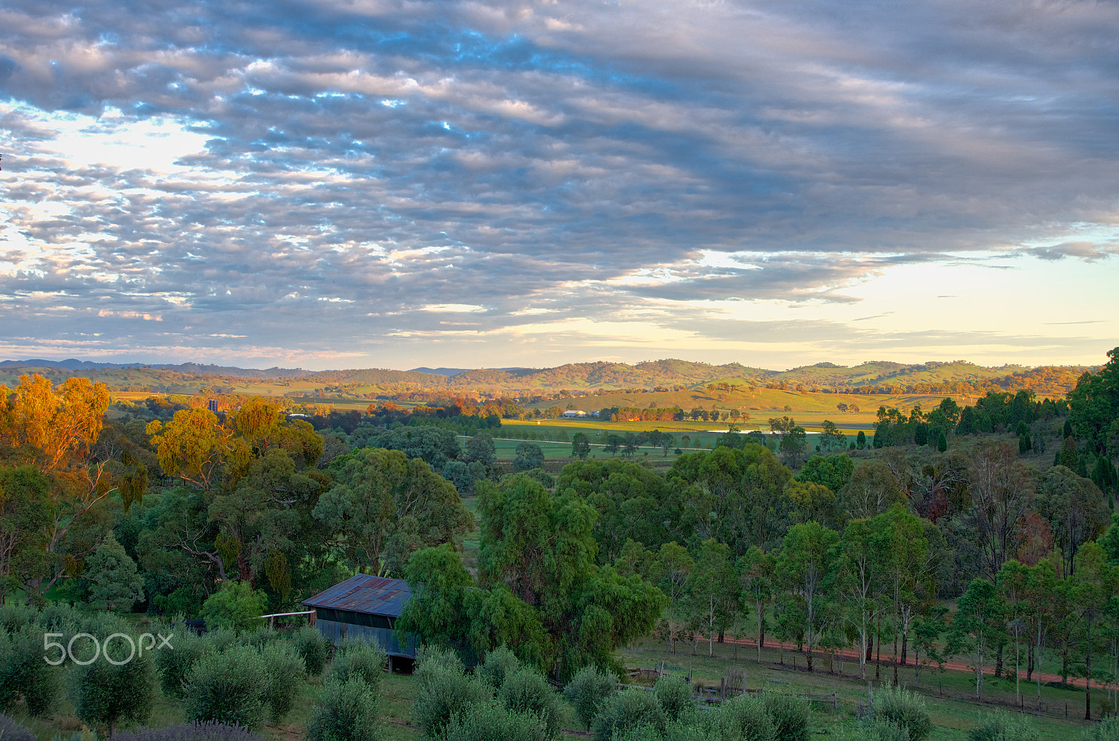 Pentax smc DA 18-55mm F3.5-5.6 AL WR sample photo. Good morning, mudgee photography