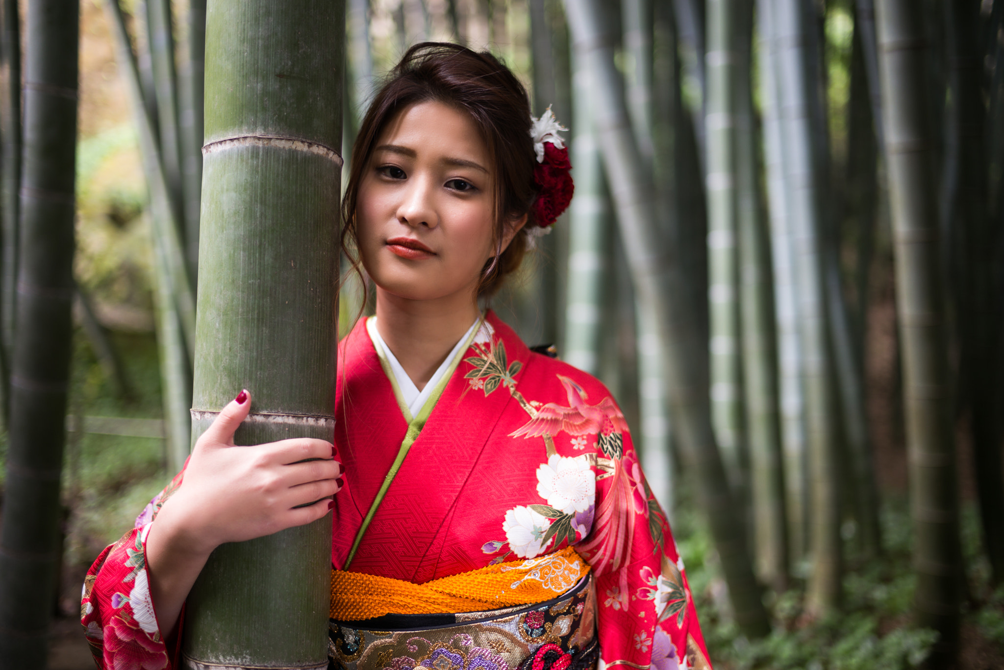 Leica Summilux-M 35mm F1.4 ASPH sample photo. Coming of age - bamboo photography