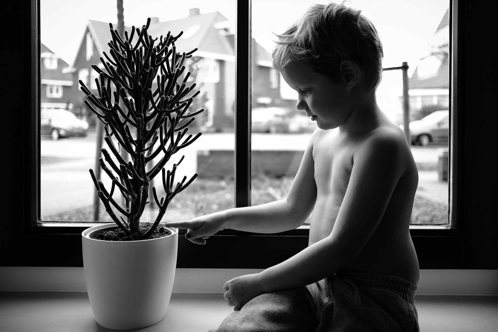 Fujifilm XF 23mm F2 R WR sample photo. You know it's real when it hurts :) photography