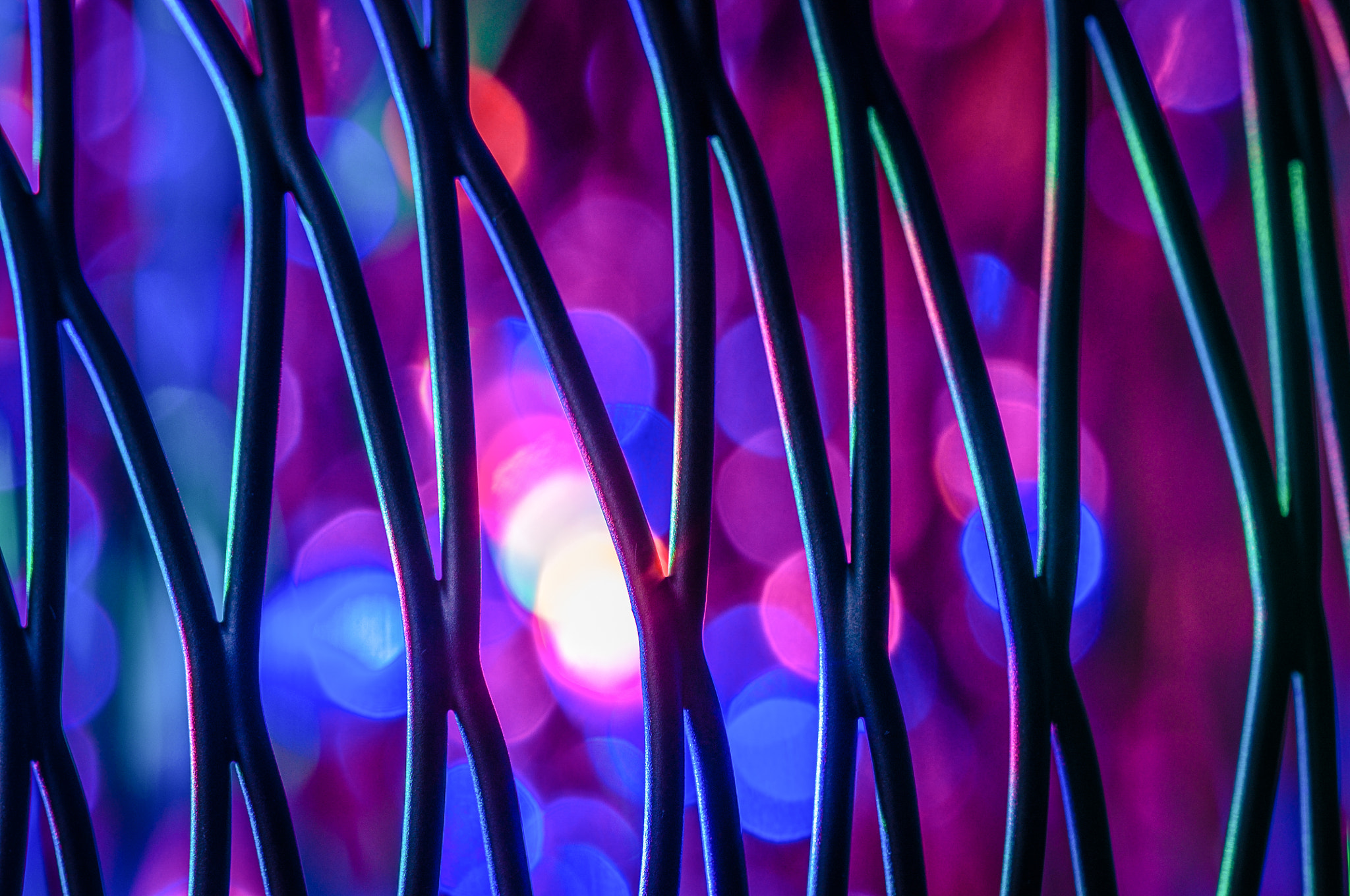 Nikon AF-S Micro-Nikkor 105mm F2.8G IF-ED VR sample photo. Synchronous dance photography