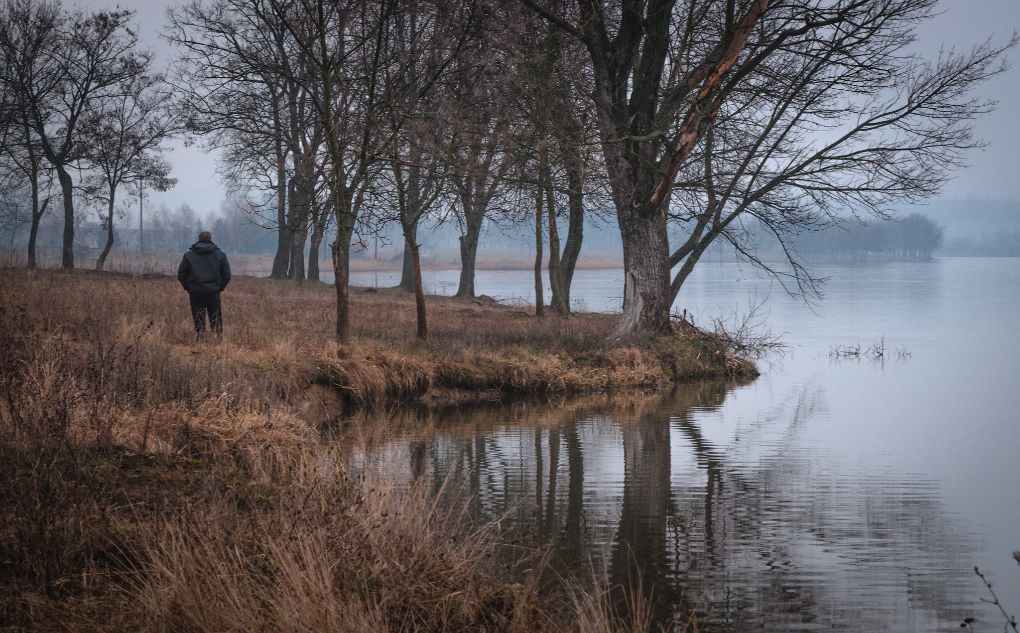 Nikon AF-S Micro-Nikkor 105mm F2.8G IF-ED VR sample photo. Rainy mood. Дощовий настрій. photography