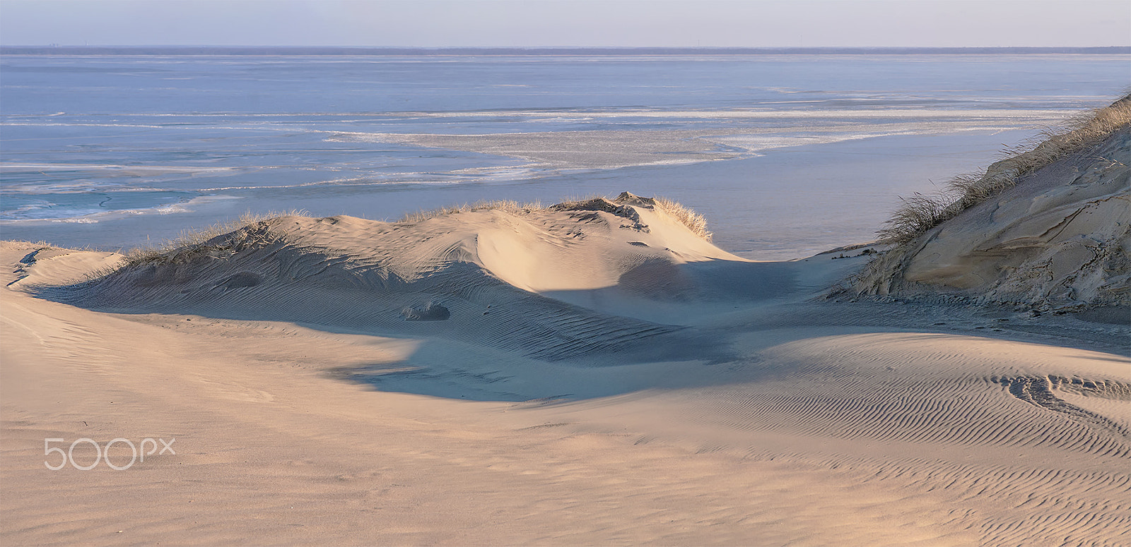 Nikon D300S sample photo. Dead dunes photography