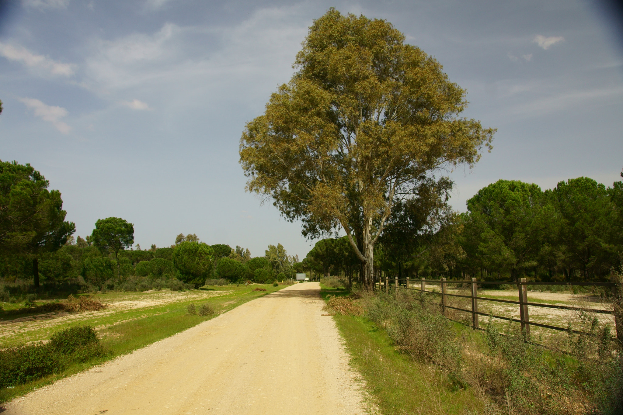 Sony DT 16-105mm F3.5-5.6 sample photo. Road photography