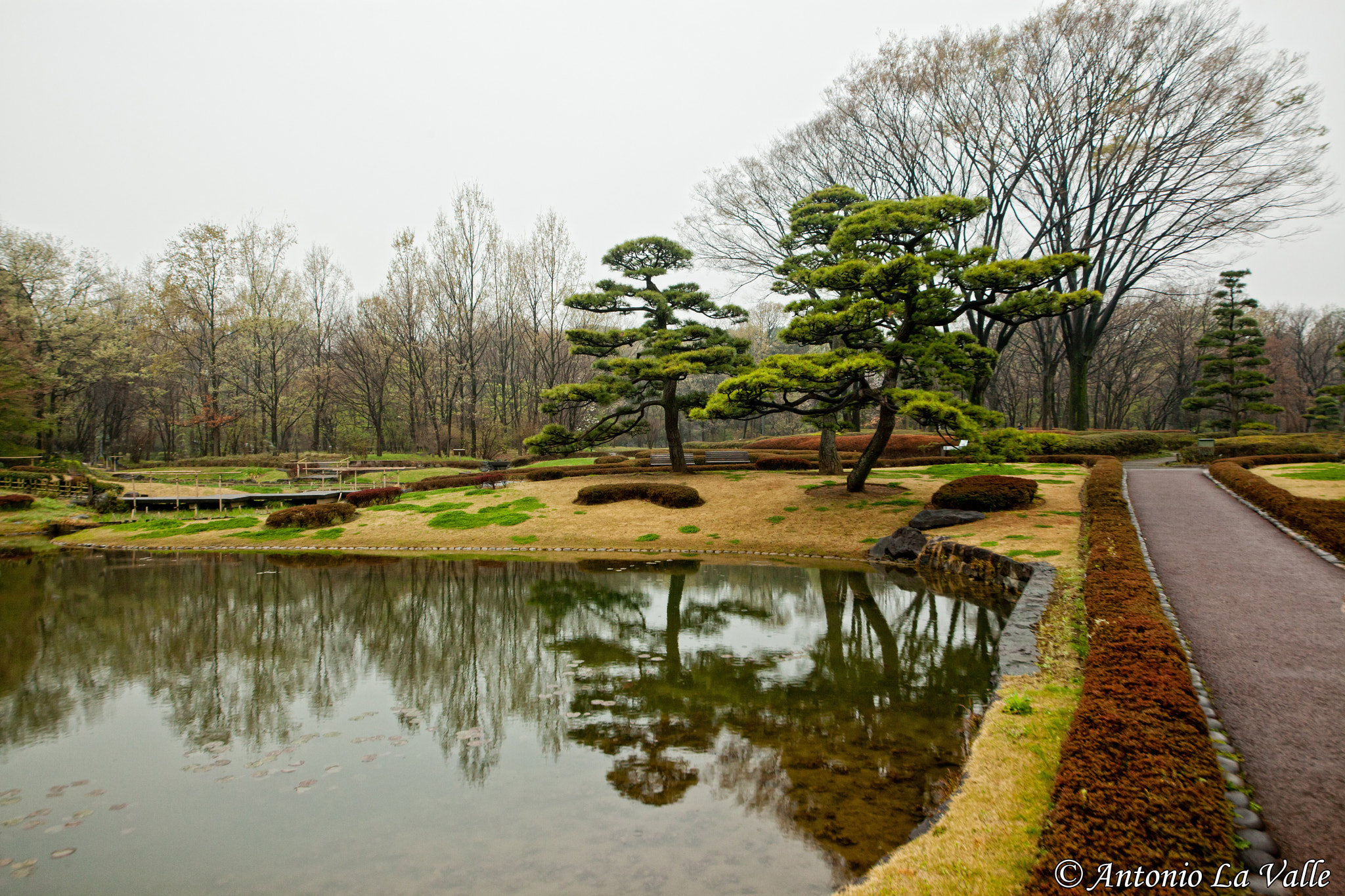 Sigma 12-24mm F4.5-5.6 II DG HSM sample photo. Giardino palazzo imperiale photography