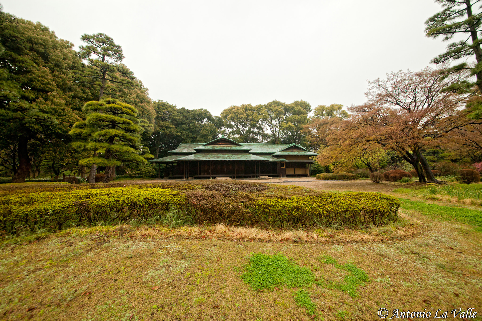 Sigma 12-24mm F4.5-5.6 II DG HSM sample photo. Giardino palazzo imperiale photography