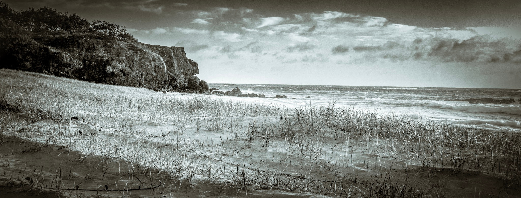 Sony Alpha NEX-7 sample photo. The dunes - frenchman's beach photography
