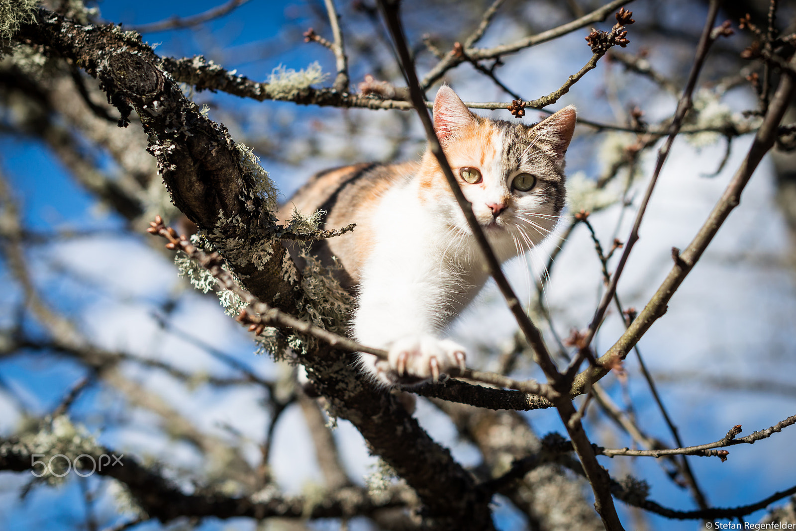 Nikon D610 + Nikon AF-S Nikkor 50mm F1.4G sample photo. What up down there? photography