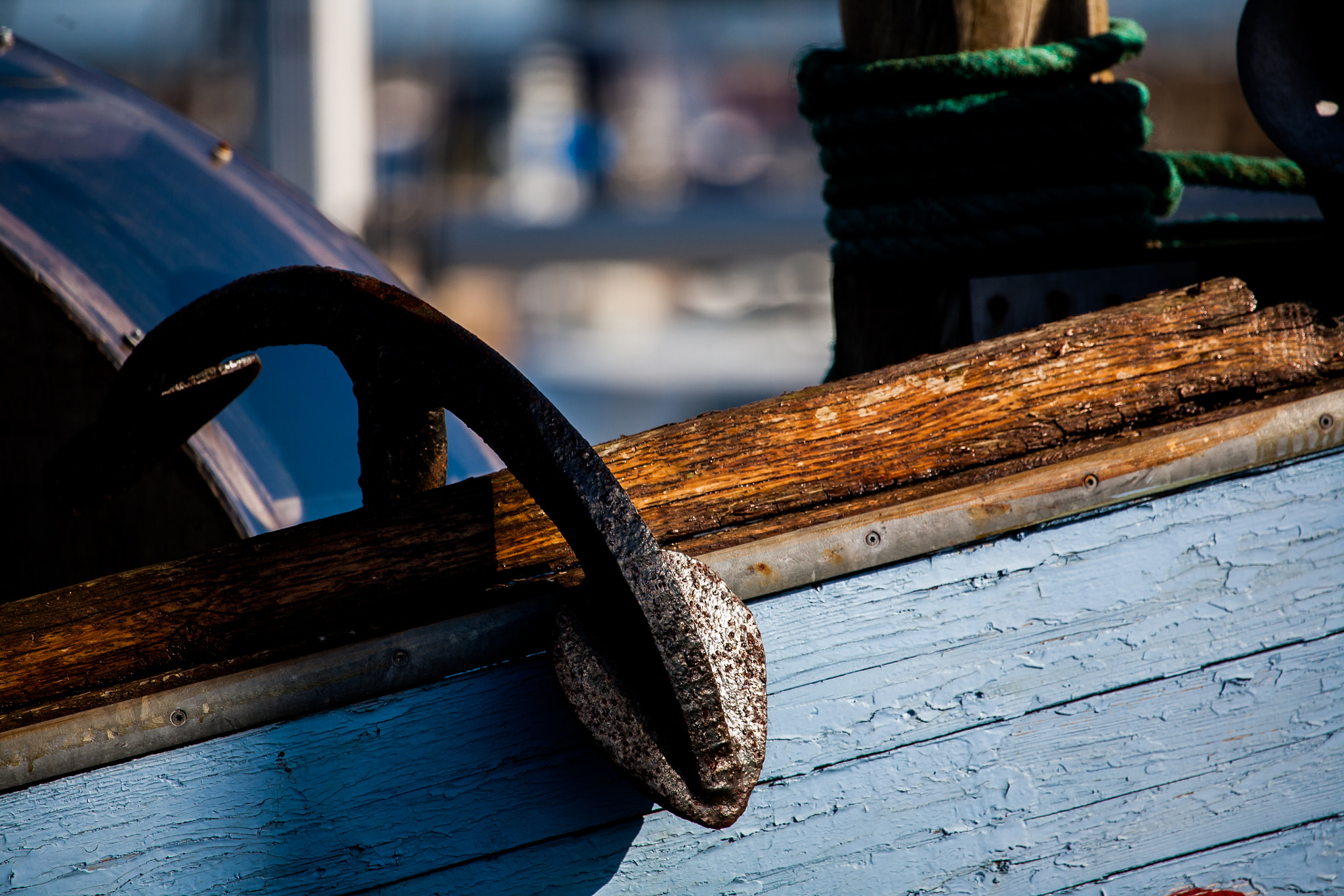 Canon EF 100-400mm F4.5-5.6L IS USM sample photo. Free to float photography