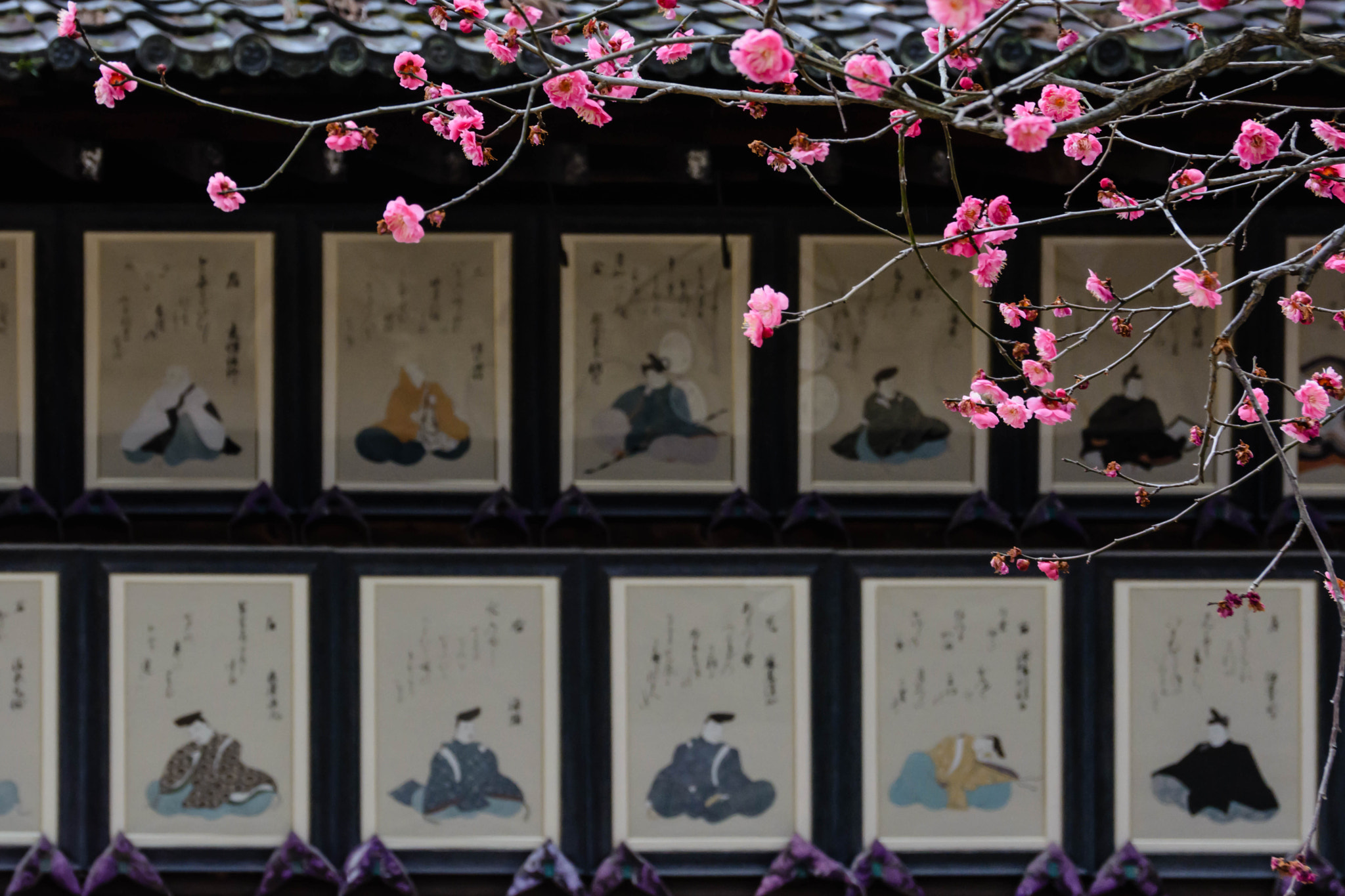 Sigma 18-200mm F3.5-6.3 II DC OS HSM sample photo. 百人一首と梅 photography