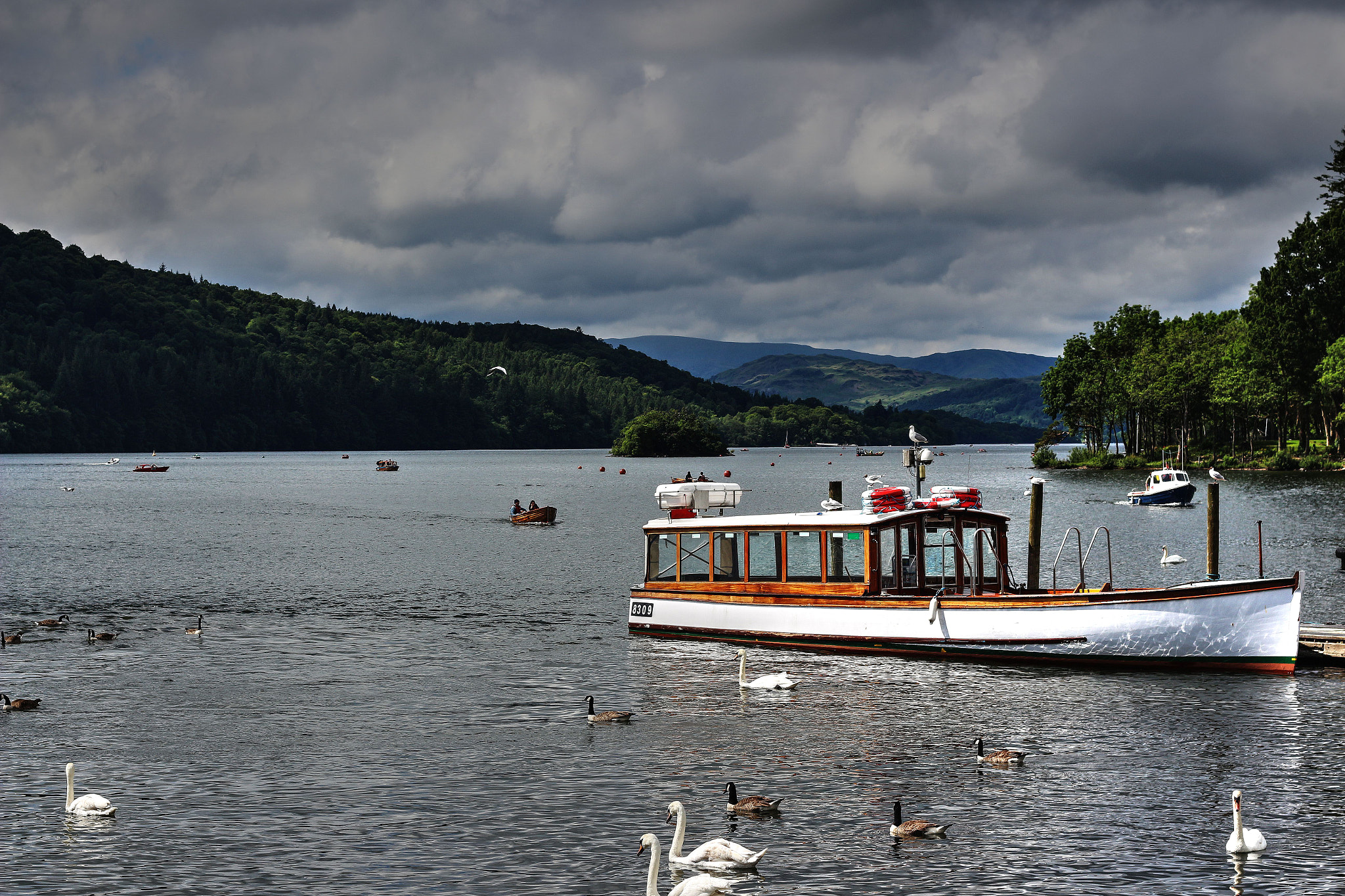 Canon EOS 700D (EOS Rebel T5i / EOS Kiss X7i) + Canon EF 50mm F1.8 II sample photo. Lake windermere photography