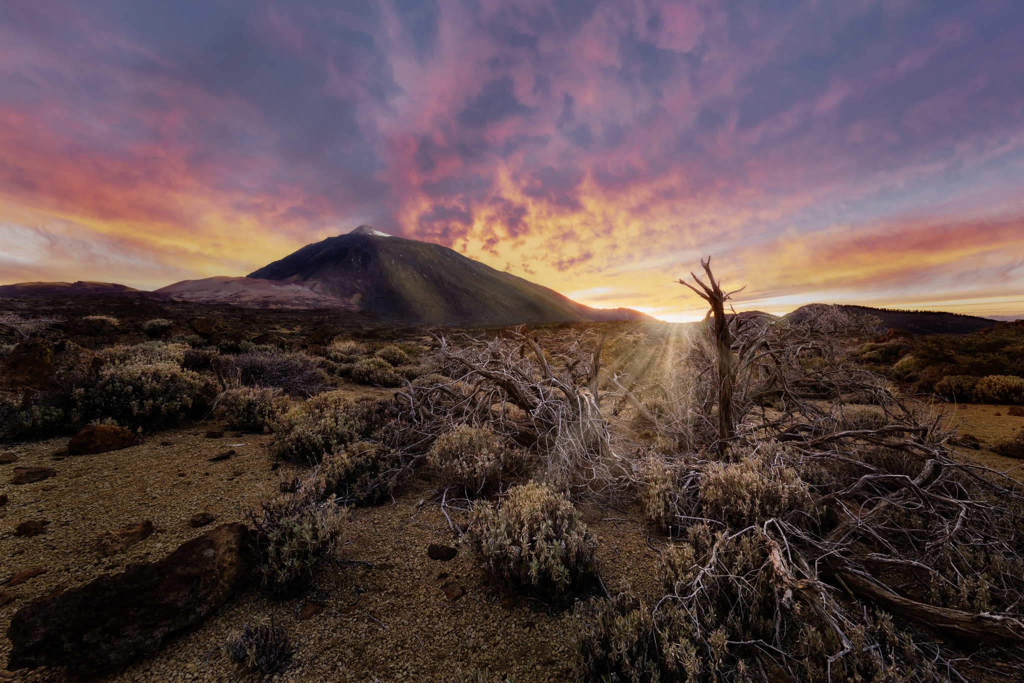 Canon EOS 5DS R + Canon EF 11-24mm F4L USM sample photo. The legend of light. photography