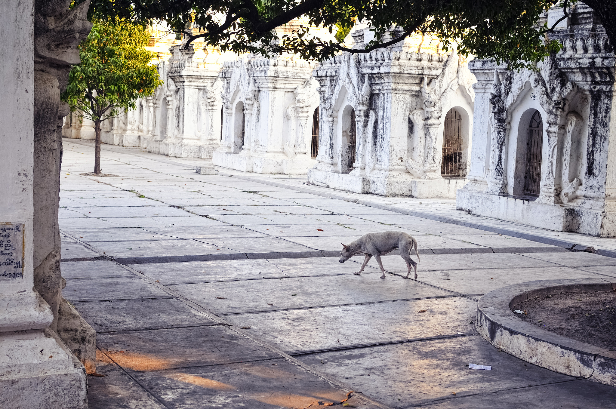 Nikon D300 + Nikon AF-S DX Nikkor 35mm F1.8G sample photo. Myanmar photography