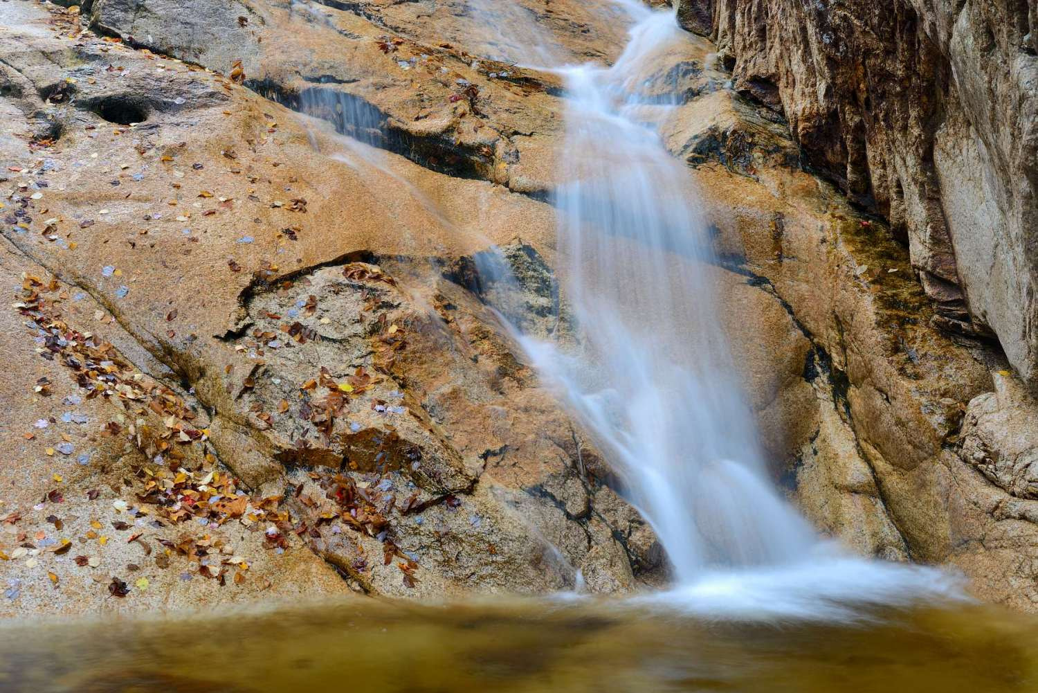 Nikon D800E sample photo. Foliage waterfall photography