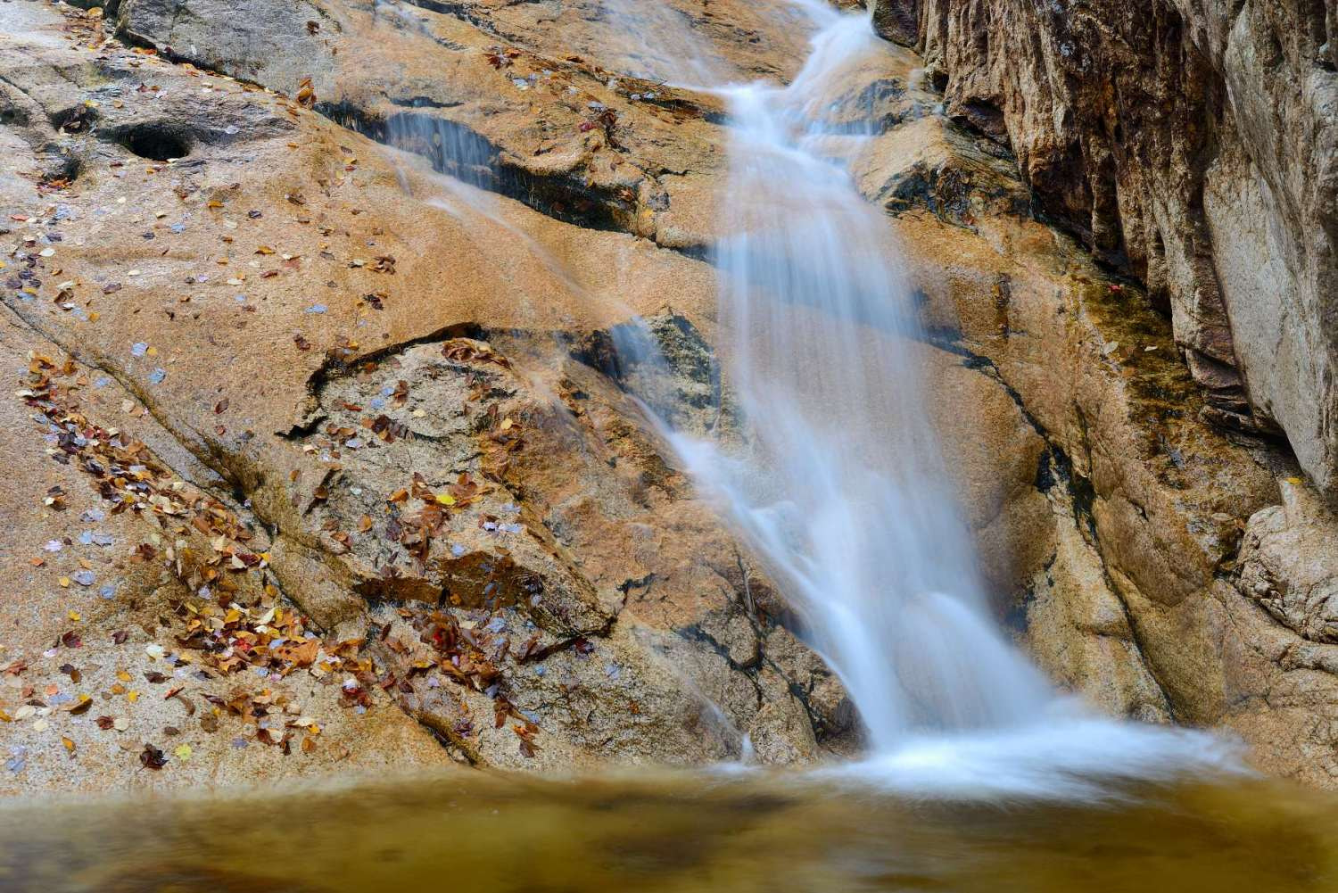 Nikon D800E + Nikon AF Nikkor 50mm F1.4D sample photo. Foliage waterfall photography