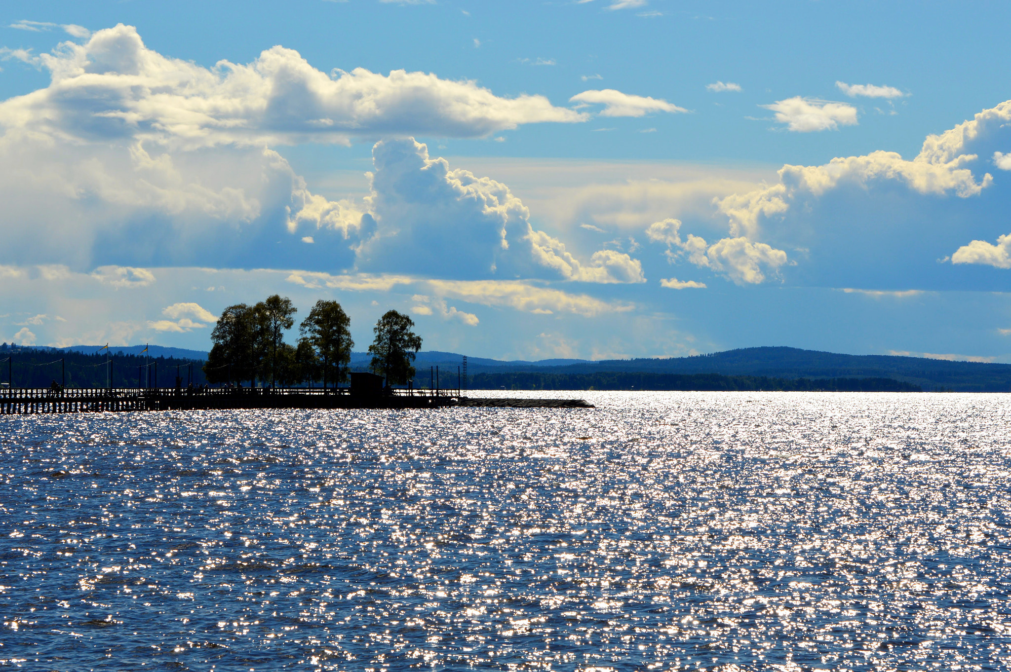 Nikon D3200 sample photo. So summerish photography