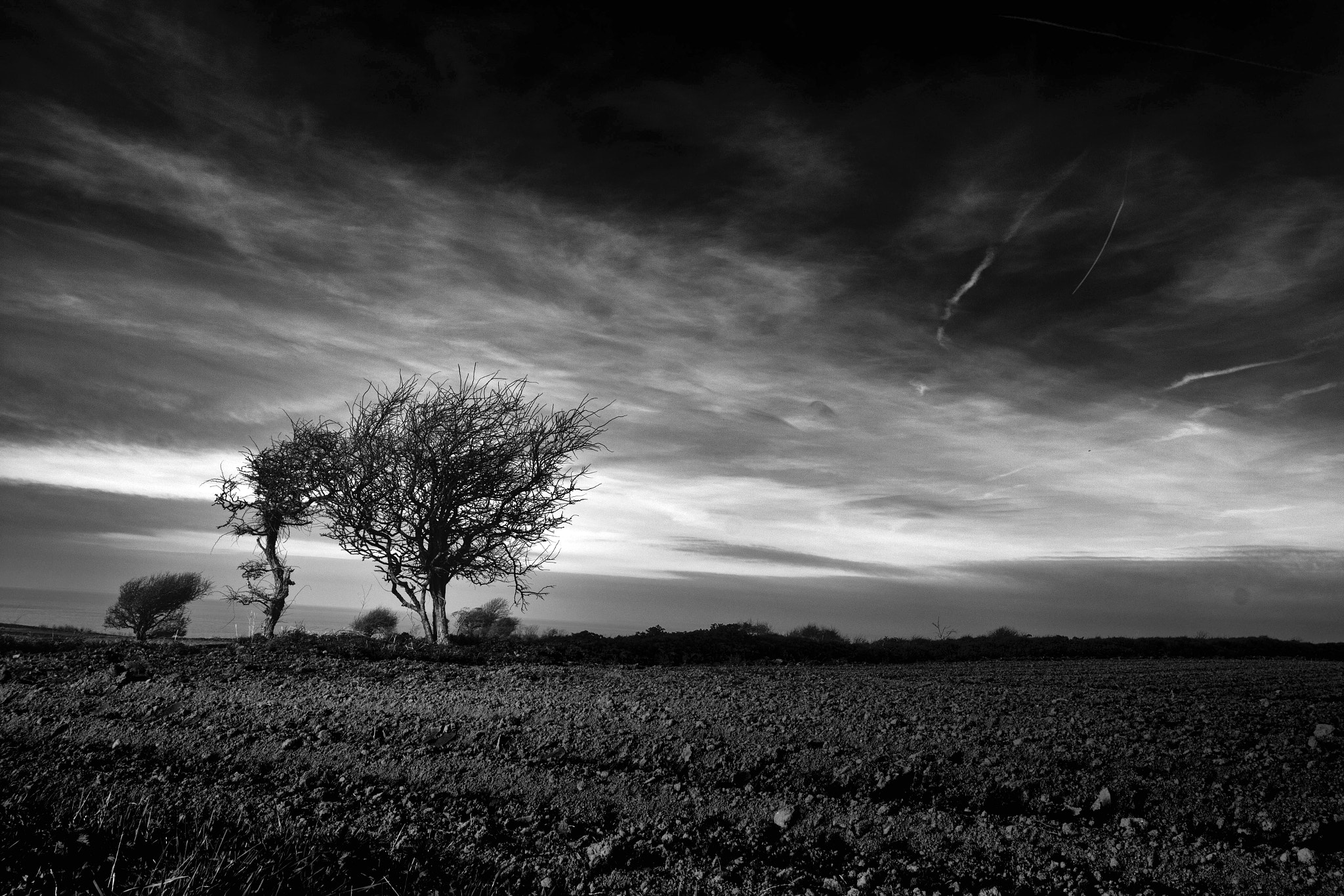Canon EF-S 10-22mm F3.5-4.5 USM sample photo. A monochromatic point of view photography
