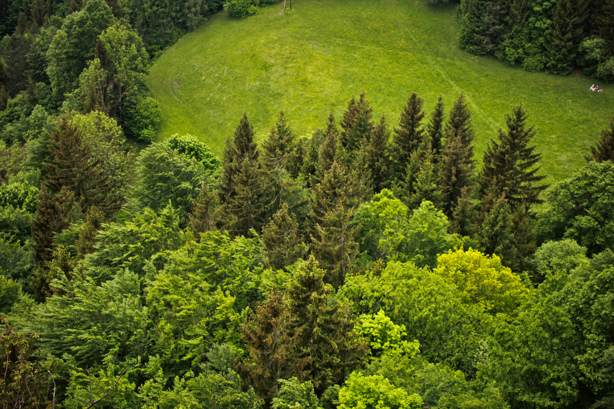 Canon EF-S 24mm F2.8 STM sample photo. Wasserwelt myrafälle, austria photography