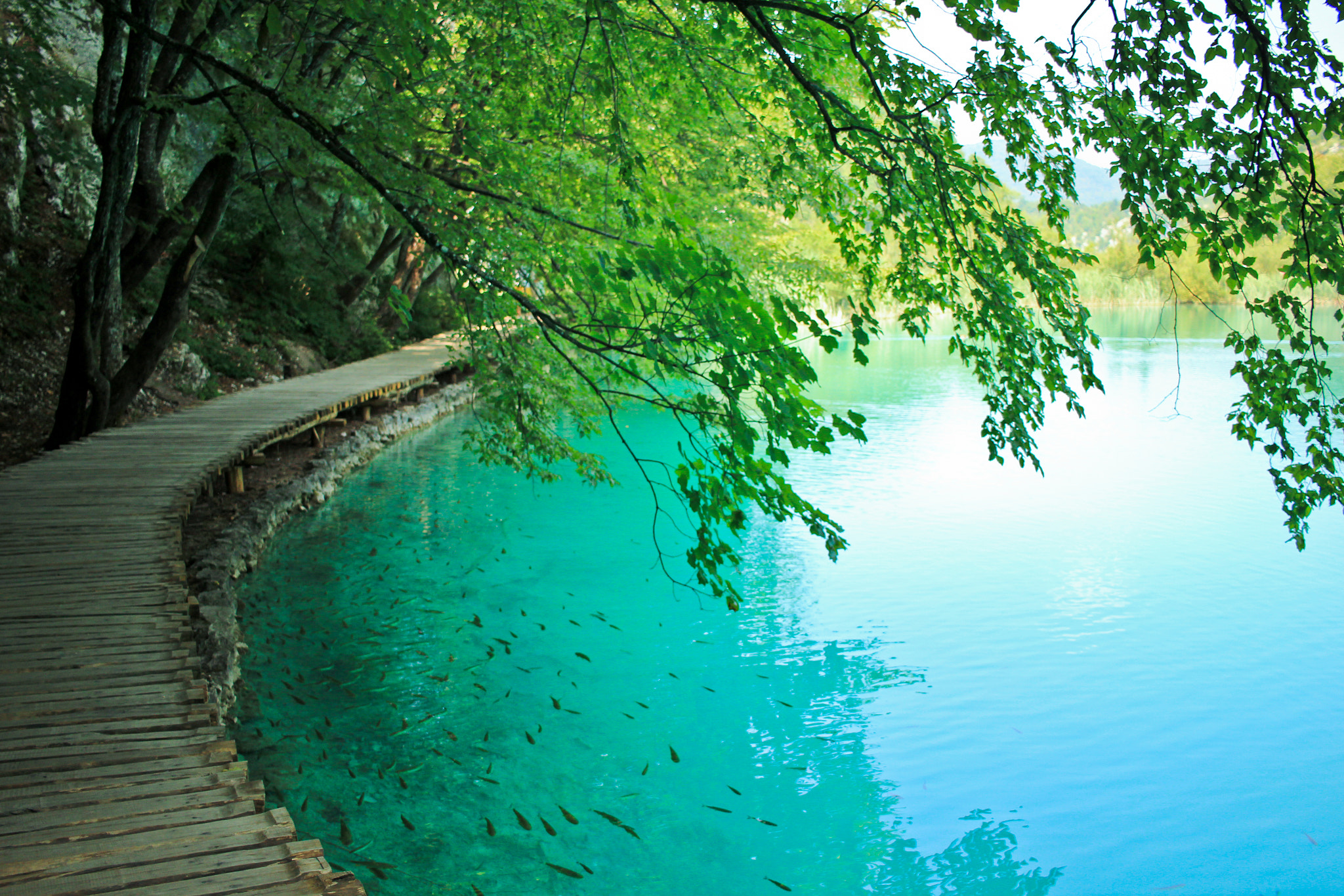 Canon EOS 550D (EOS Rebel T2i / EOS Kiss X4) sample photo. Plitvice lakes, croatia photography