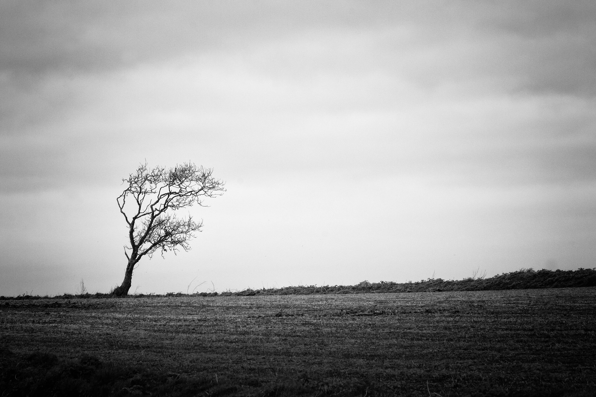 Canon EF 70-300mm F4-5.6 IS USM sample photo. Solitude photography